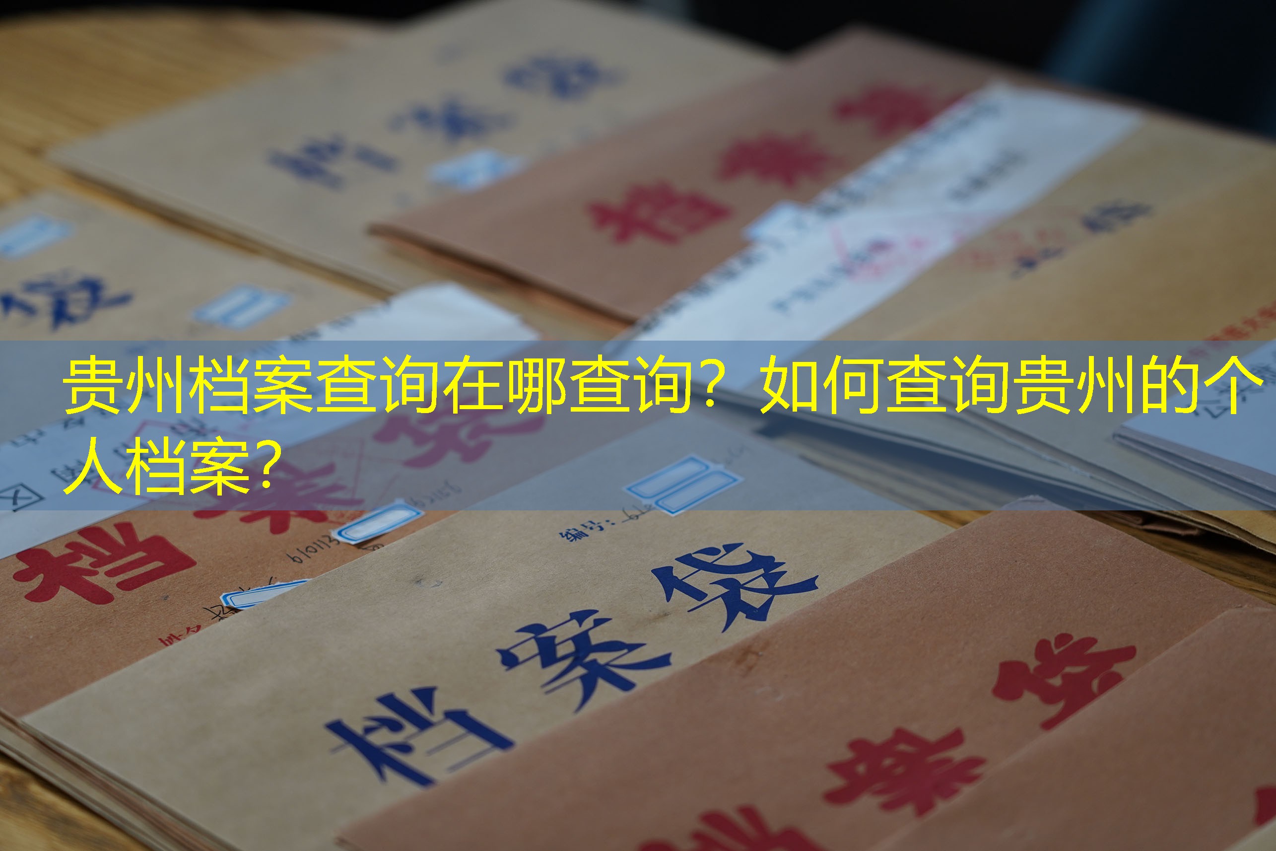 档案查询