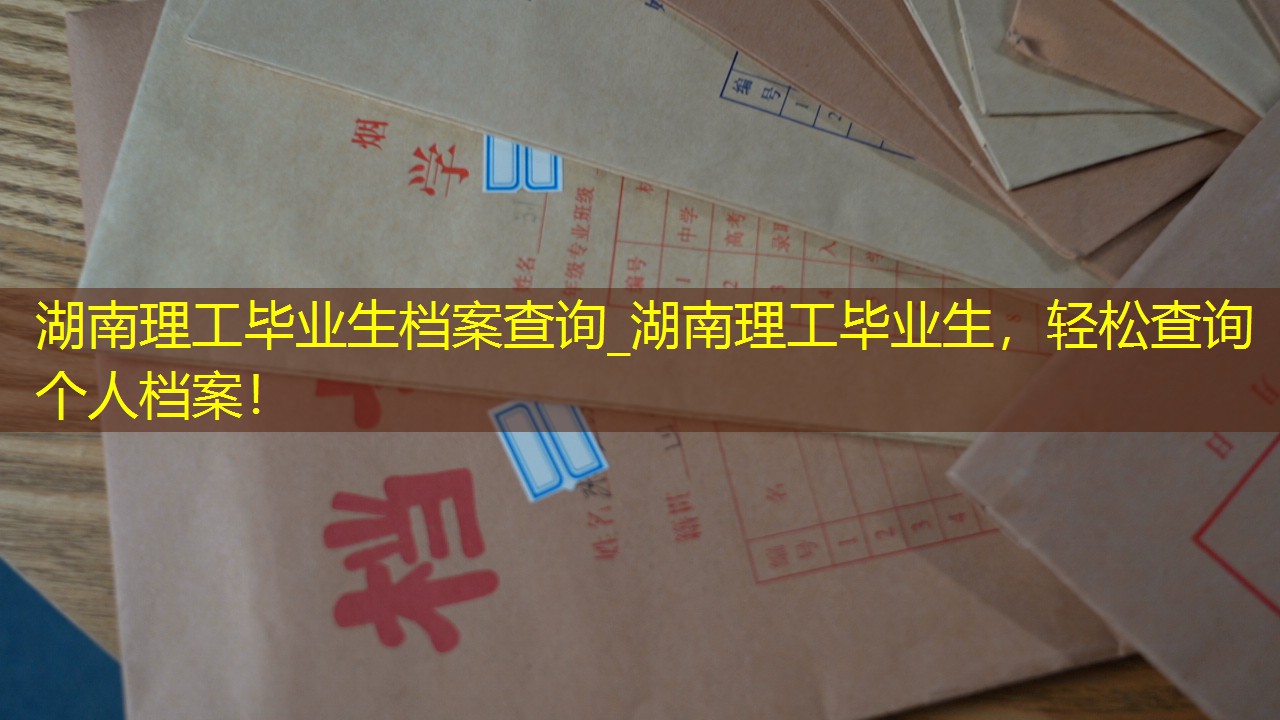 档案查询