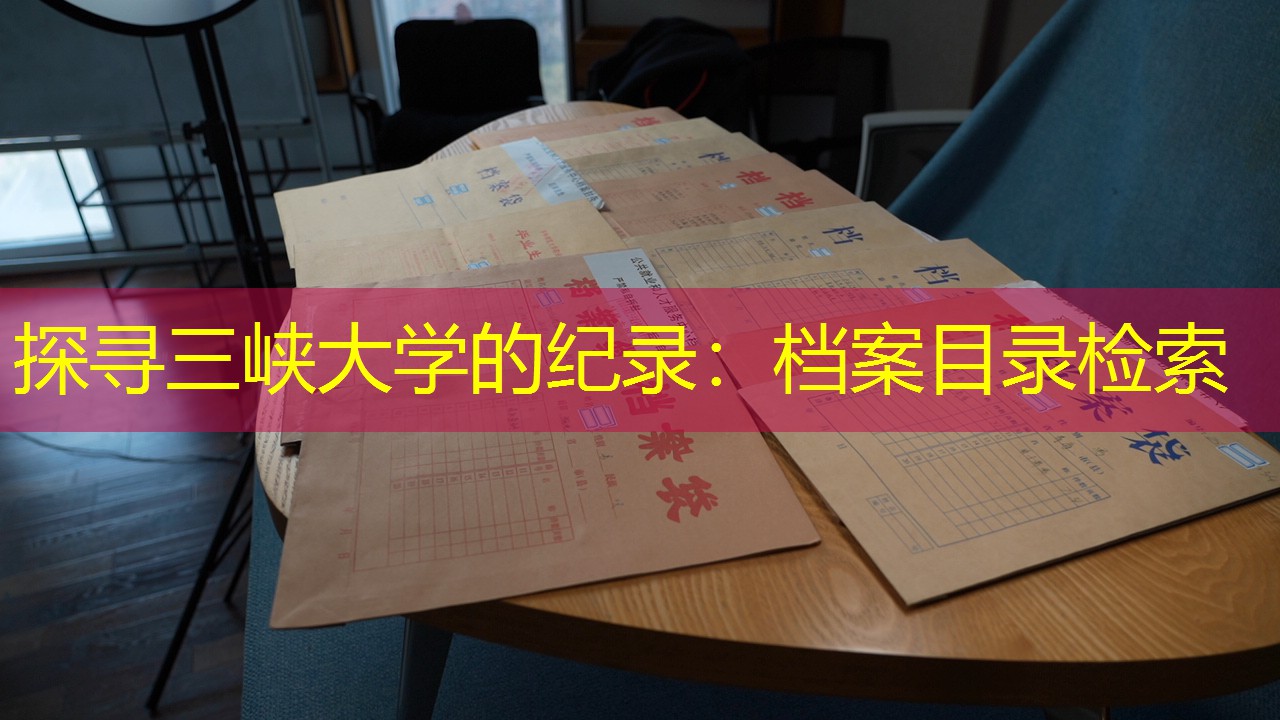 档案查询