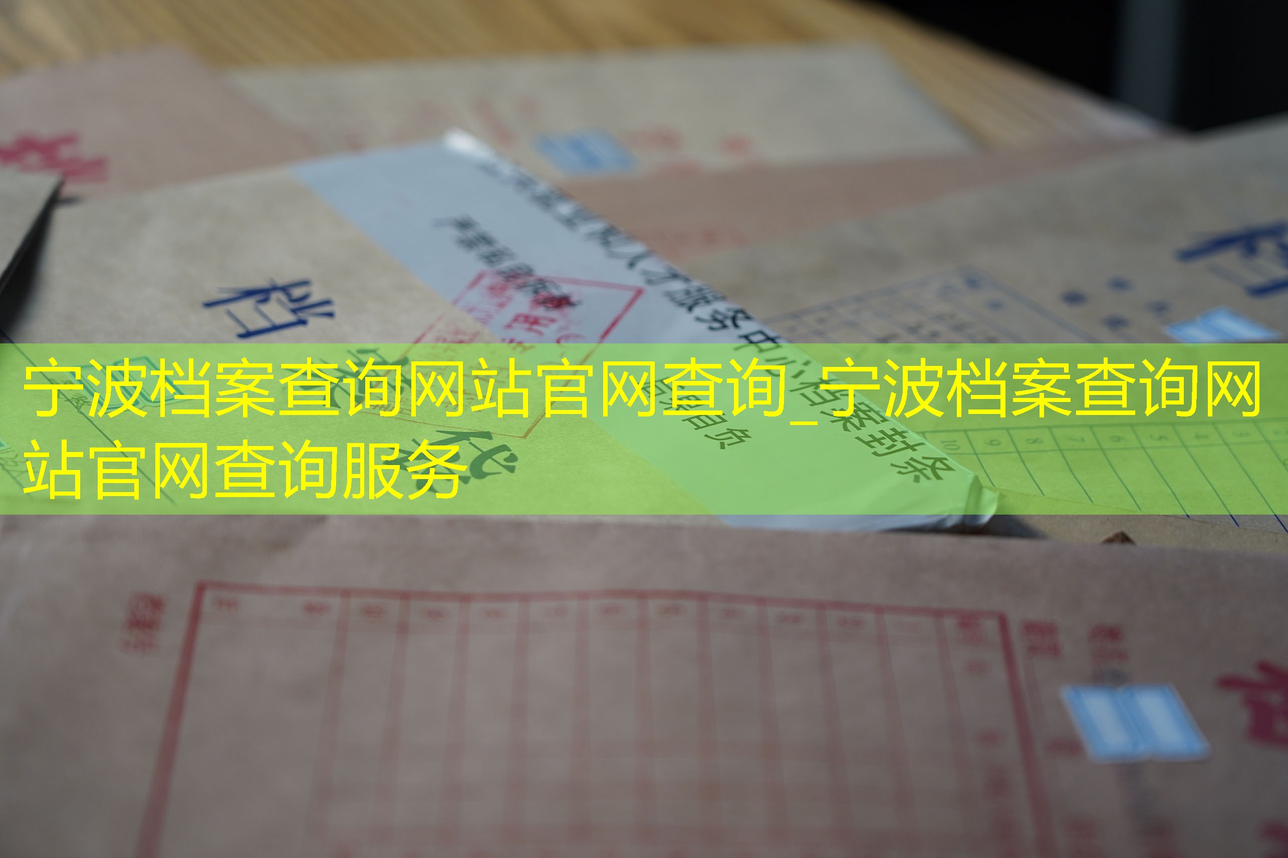 档案查询