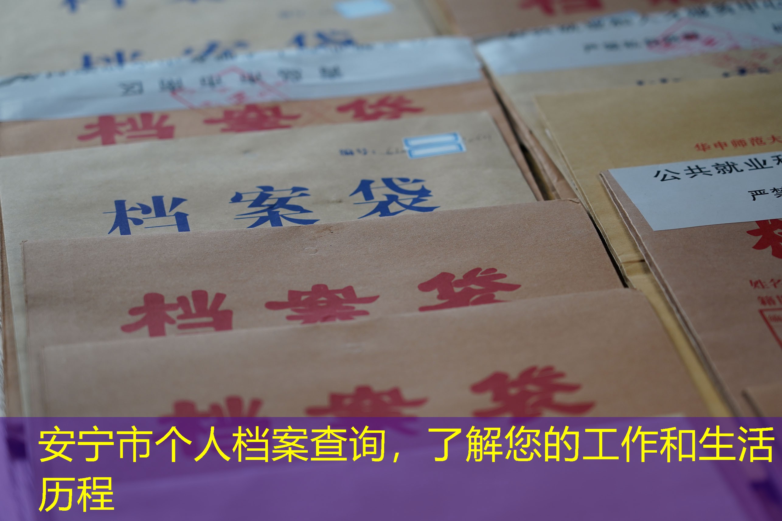 档案查询
