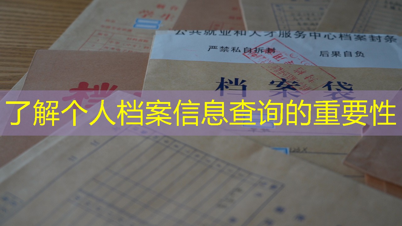 档案查询