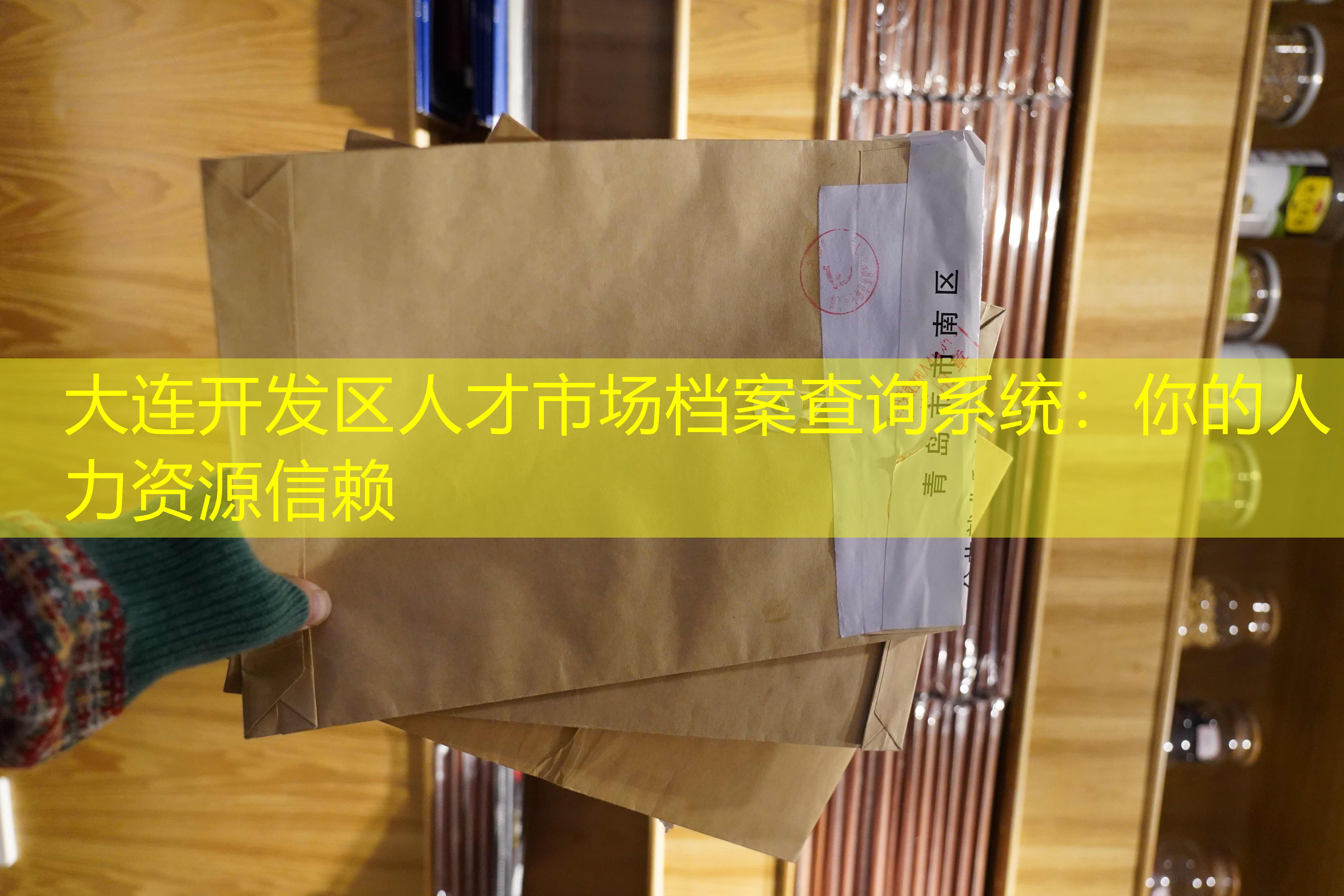 档案查询