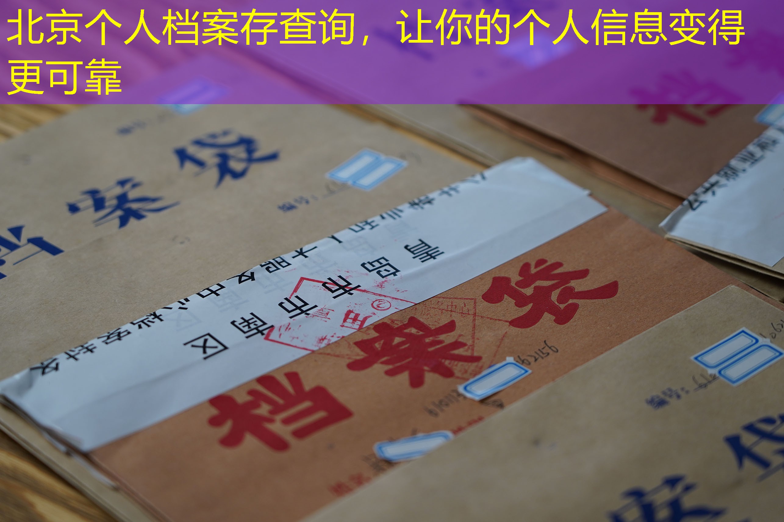 档案查询