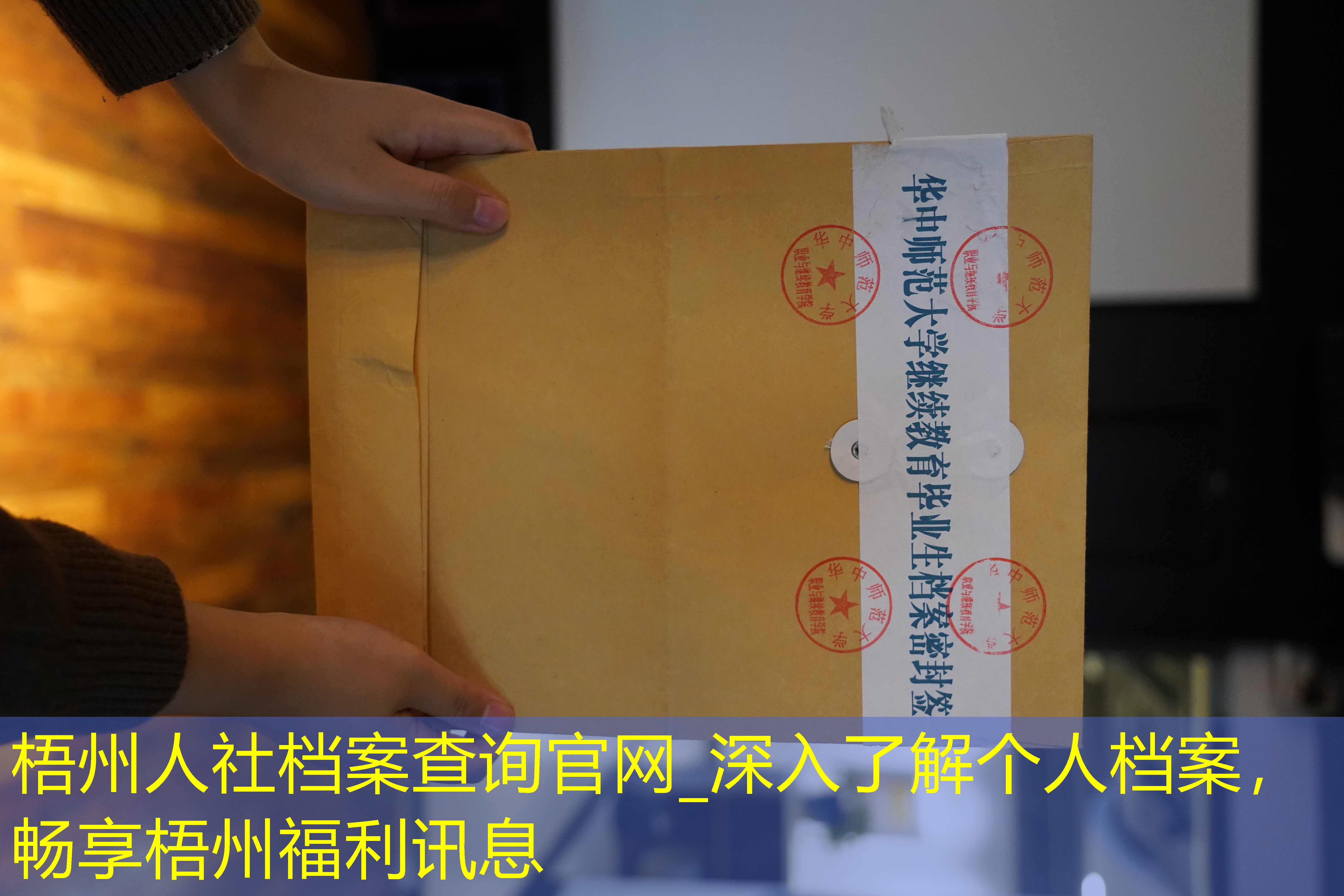 档案查询