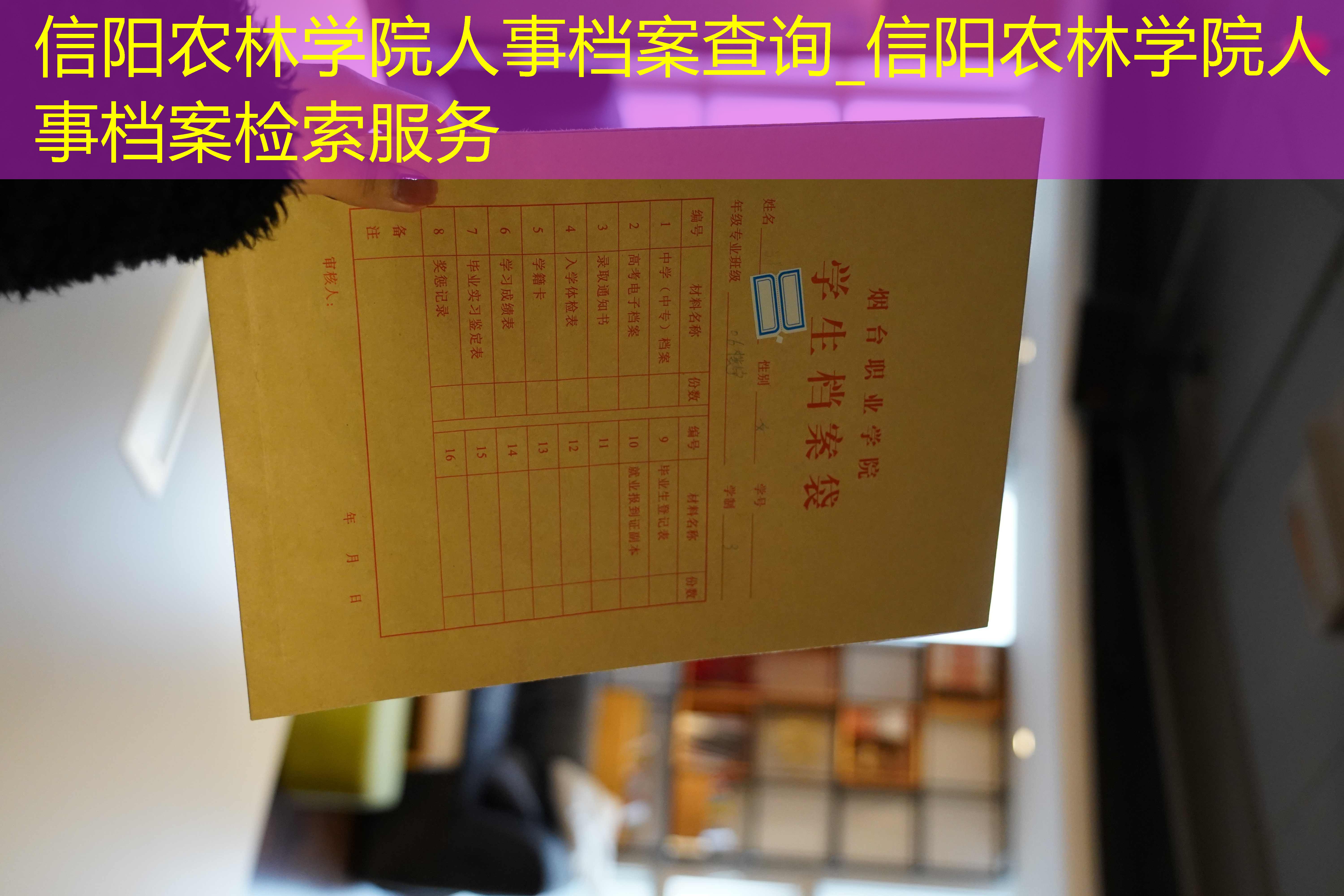 档案查询