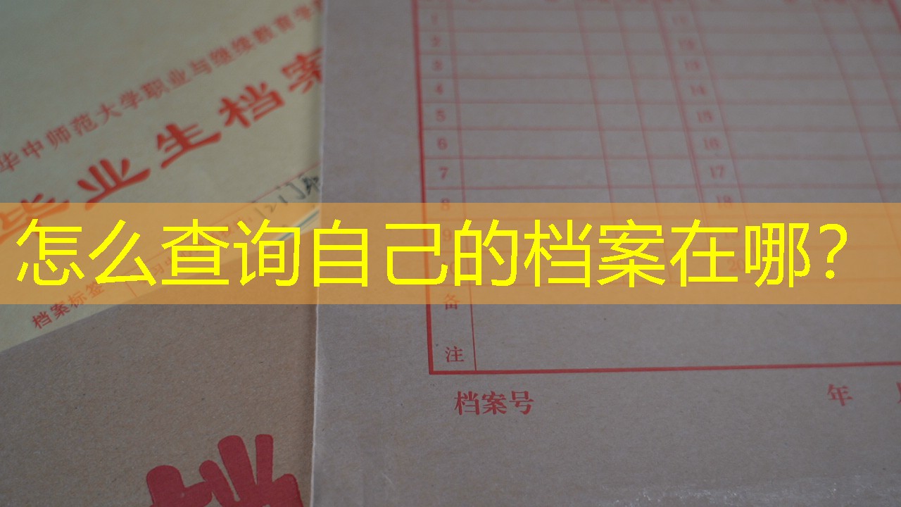 档案查询