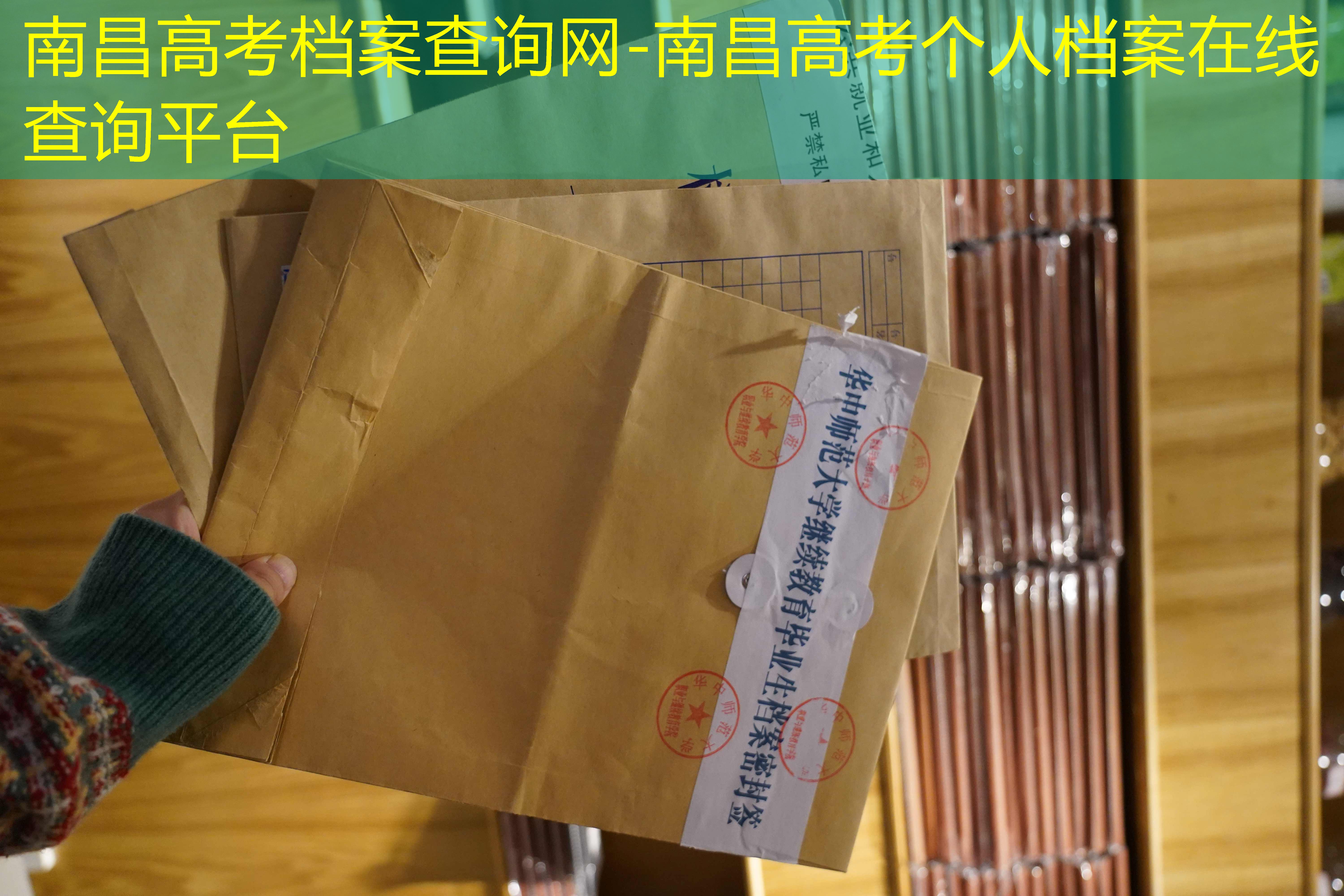 档案查询