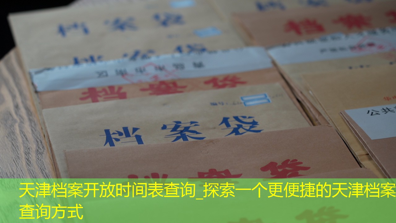 档案查询
