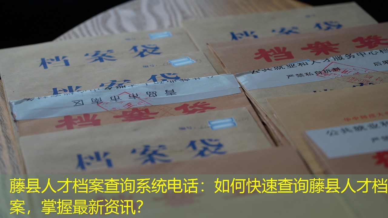 档案查询