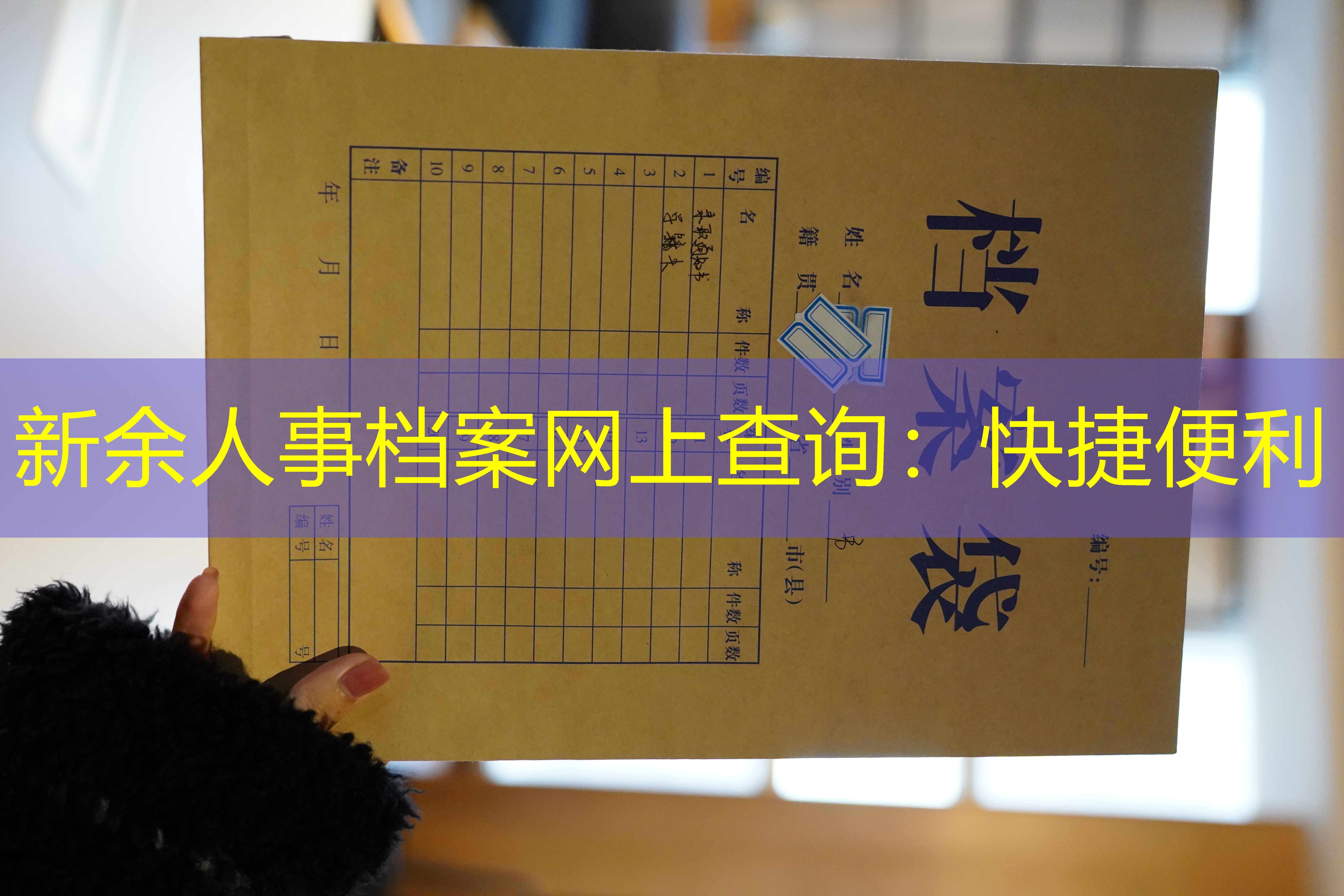 档案查询
