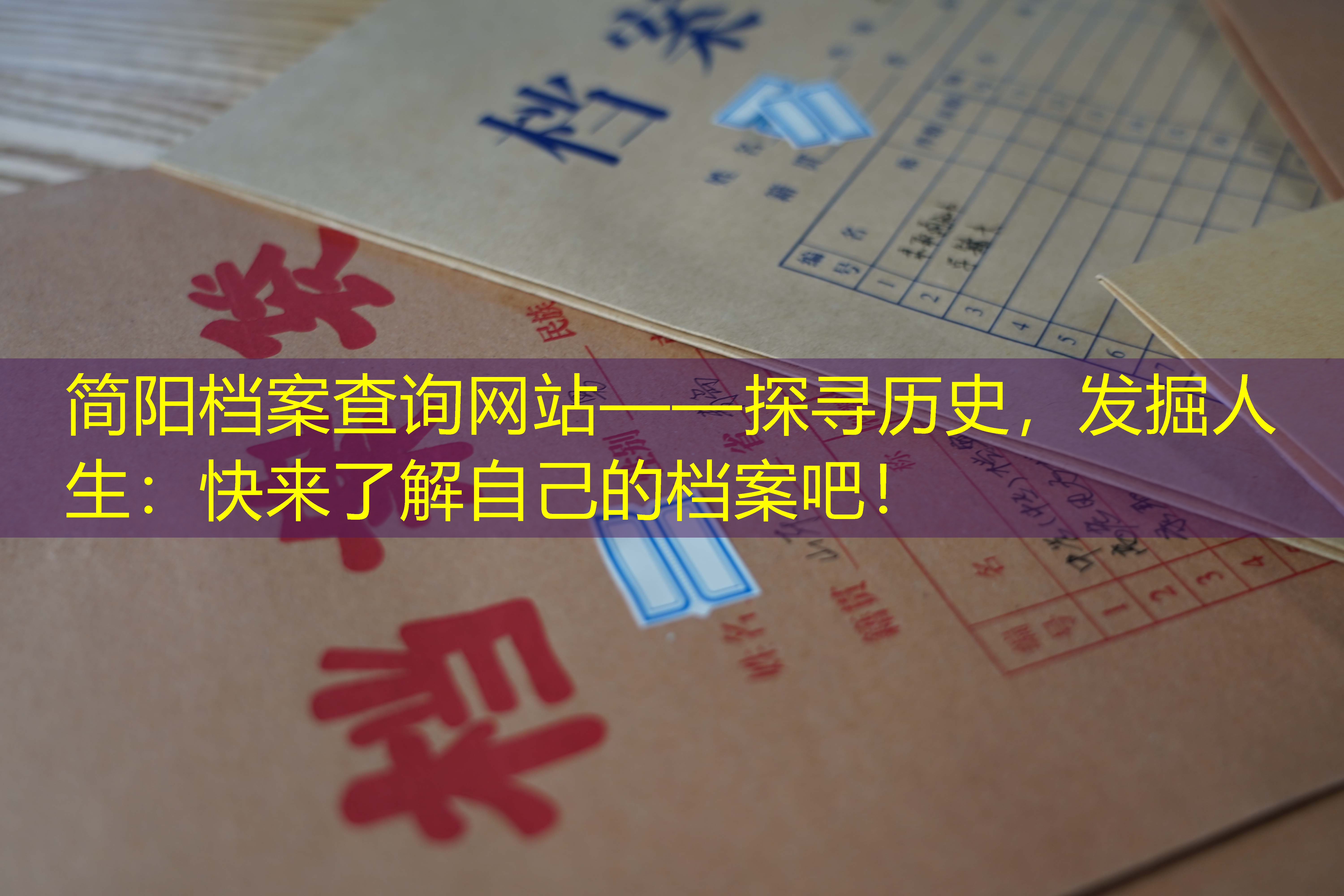 档案查询