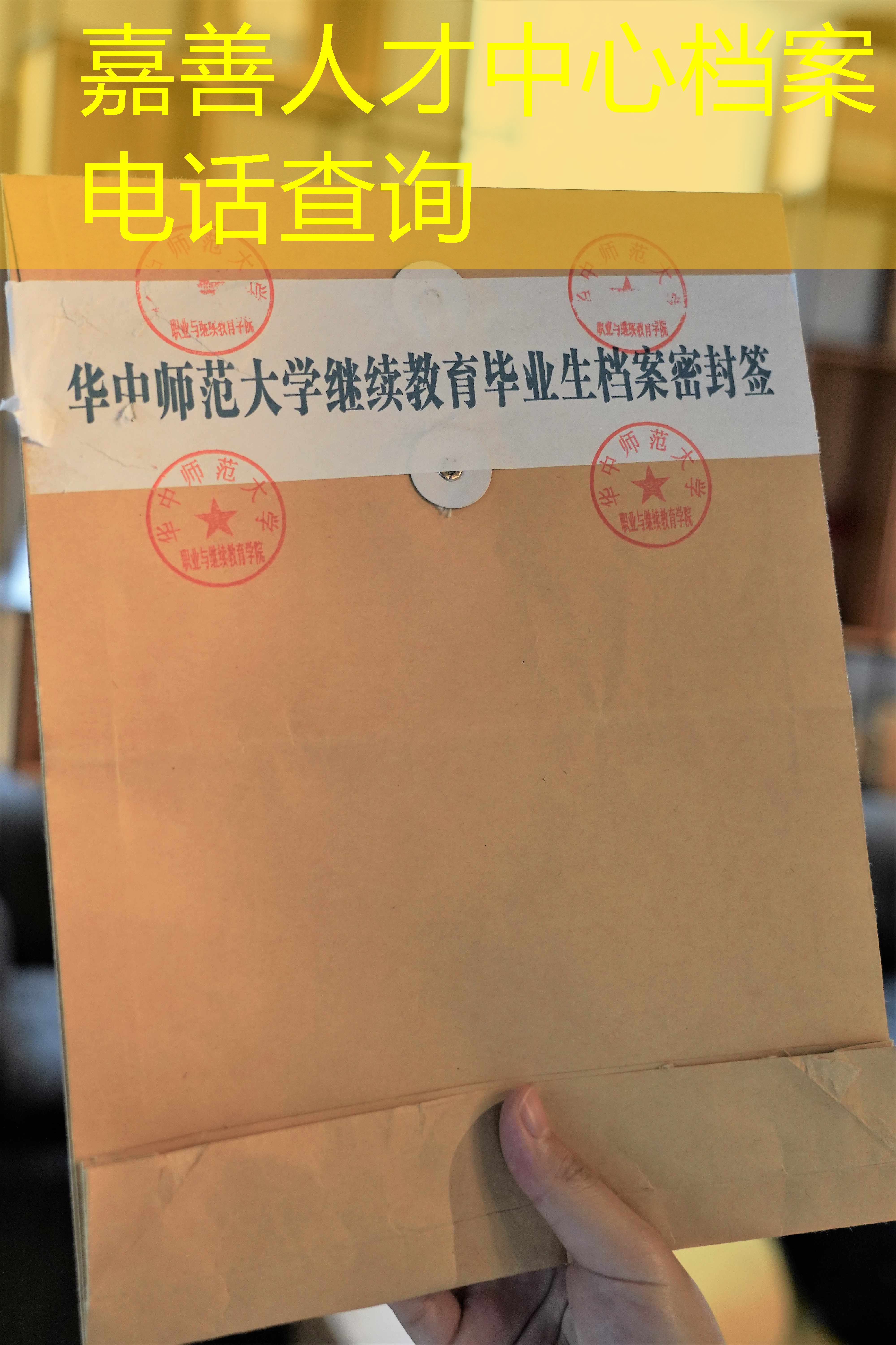档案查询