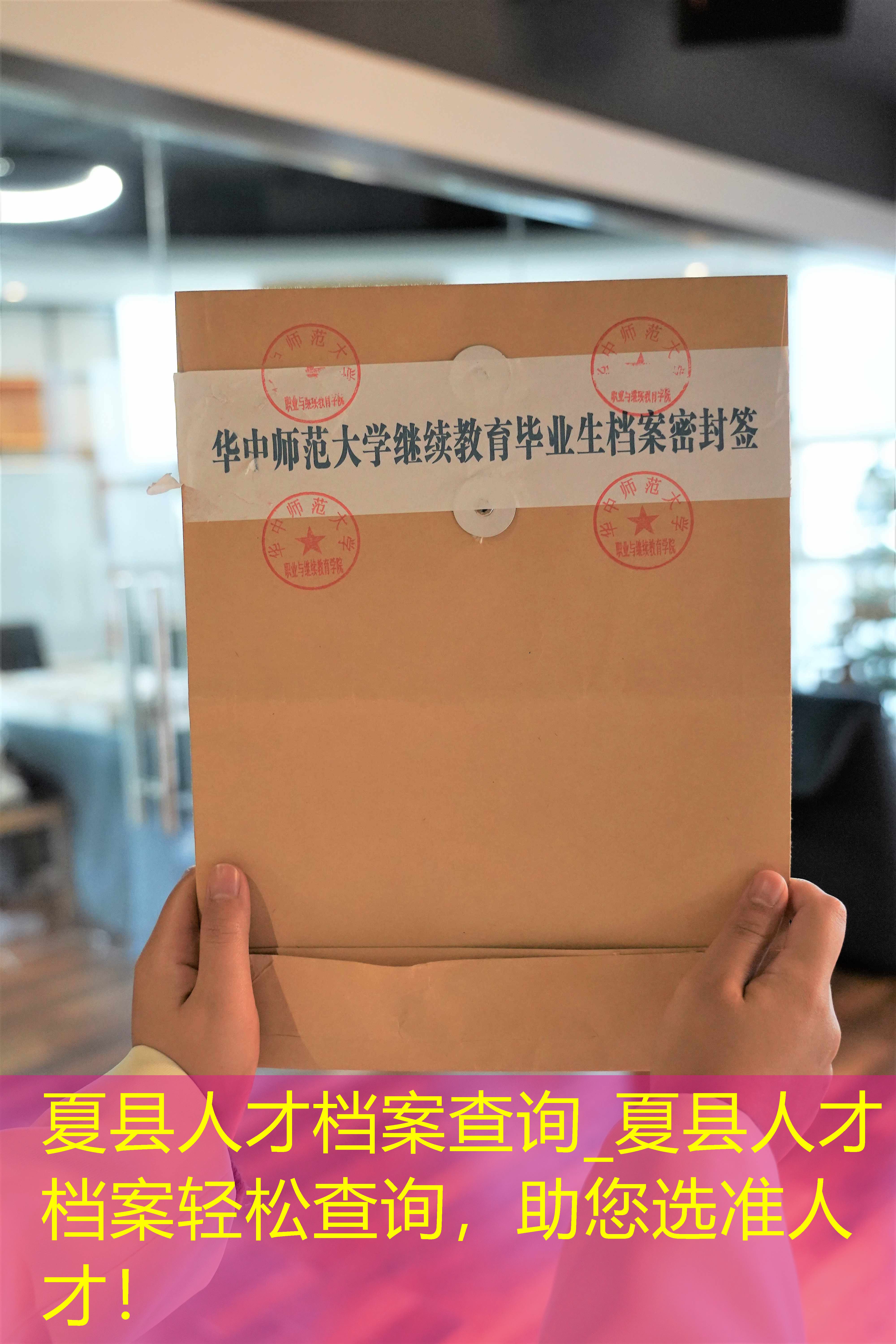档案查询