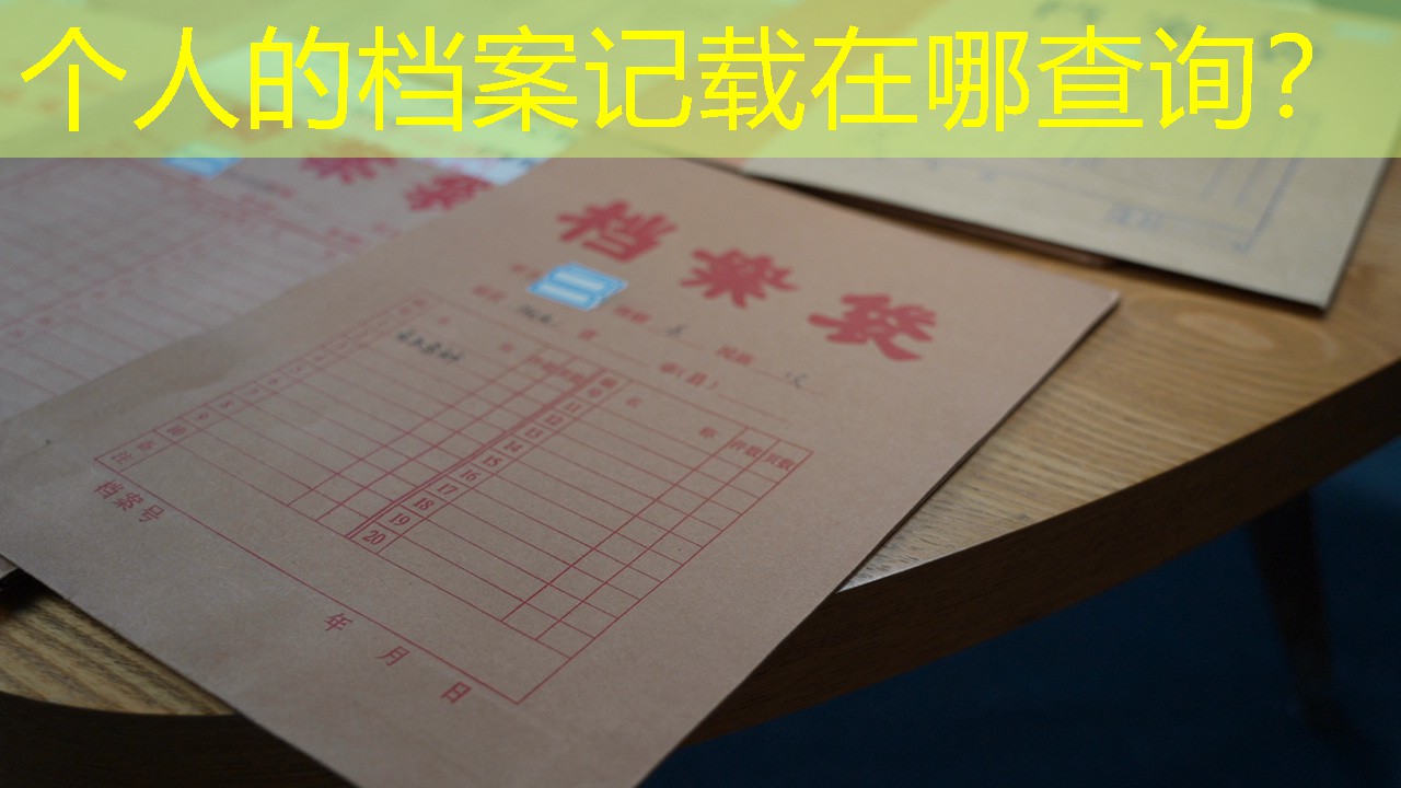 档案查询
