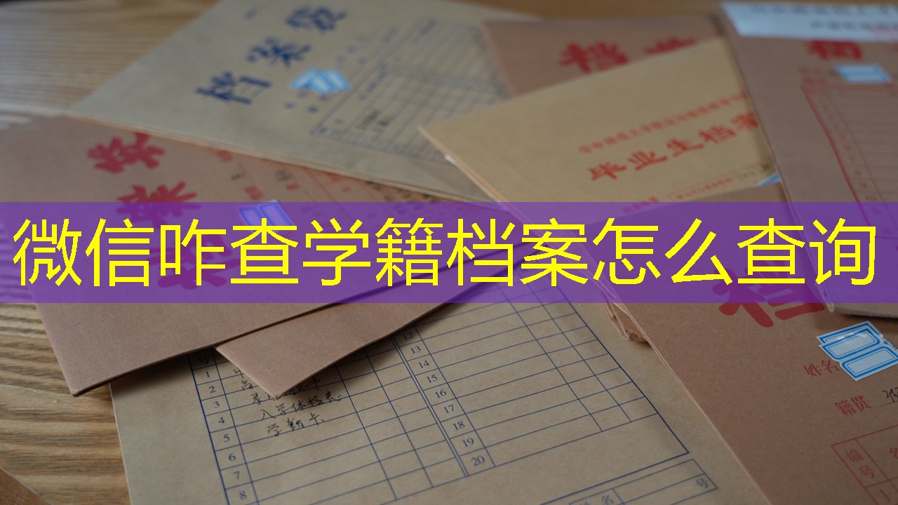 档案查询