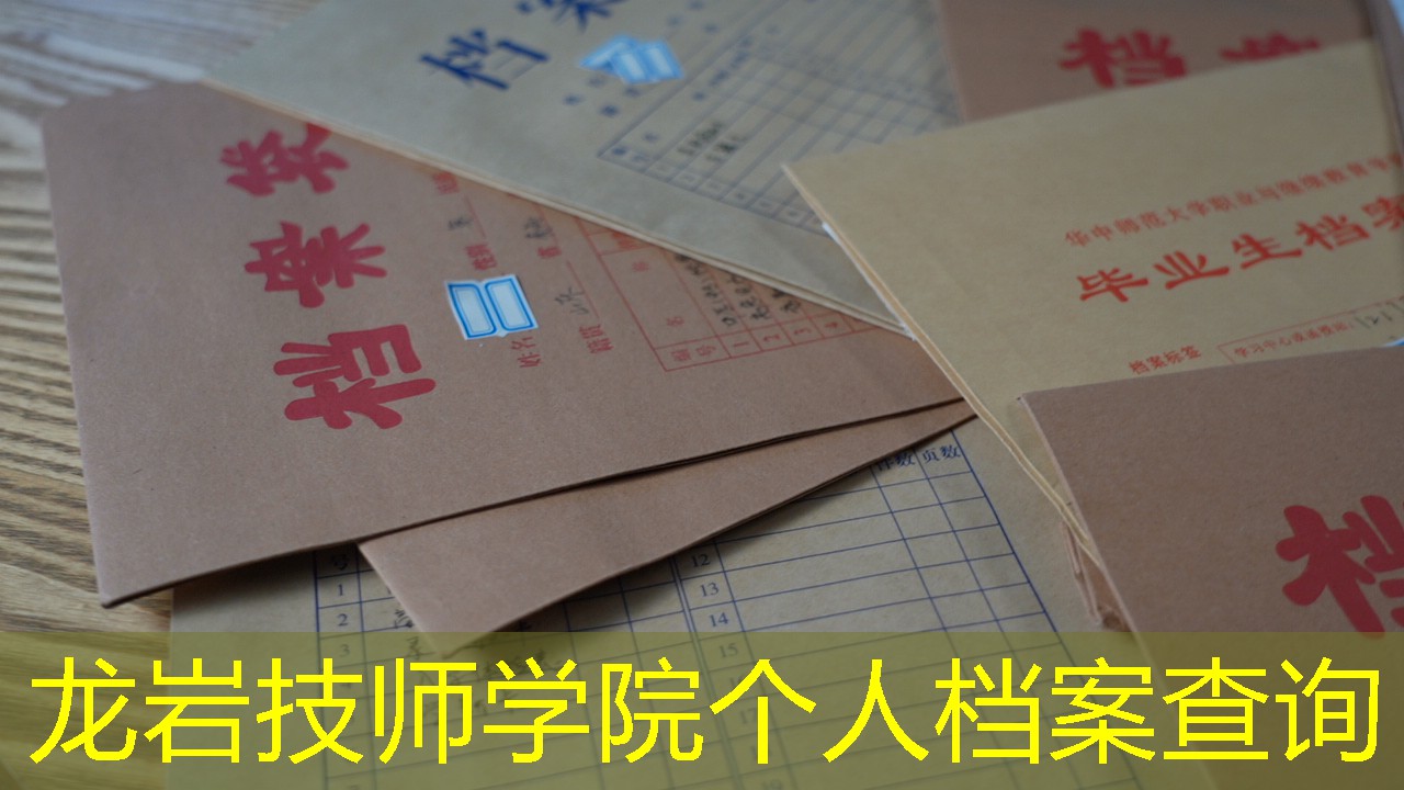 档案查询