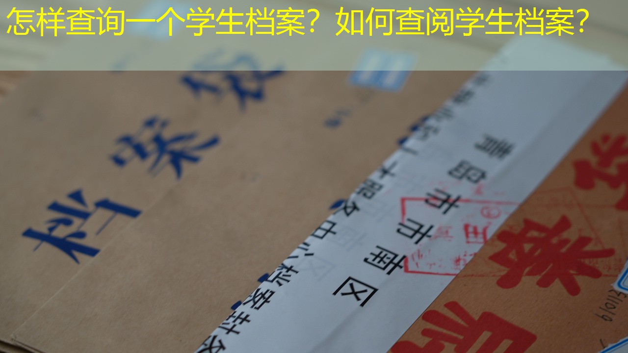 档案查询