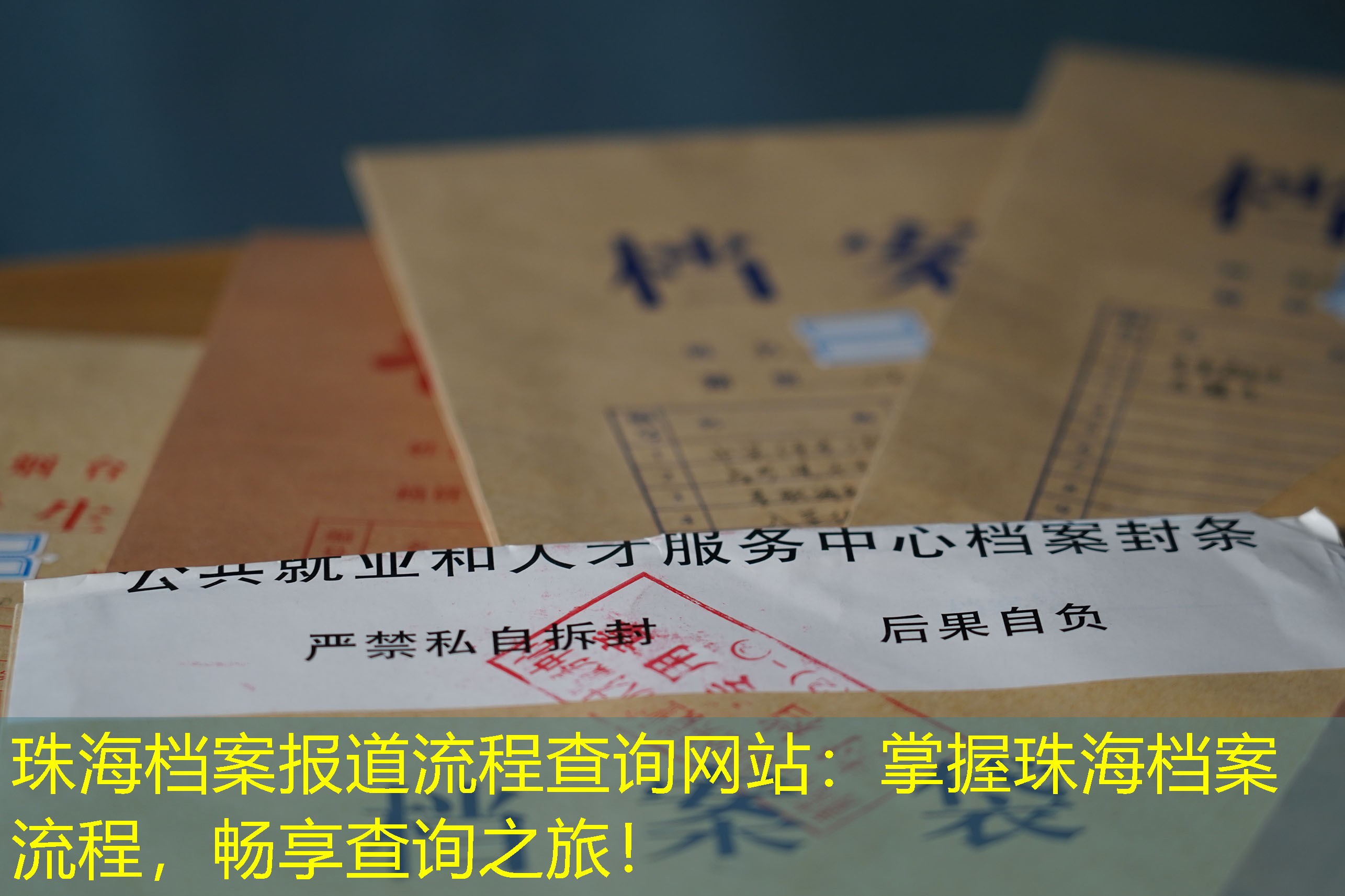档案查询
