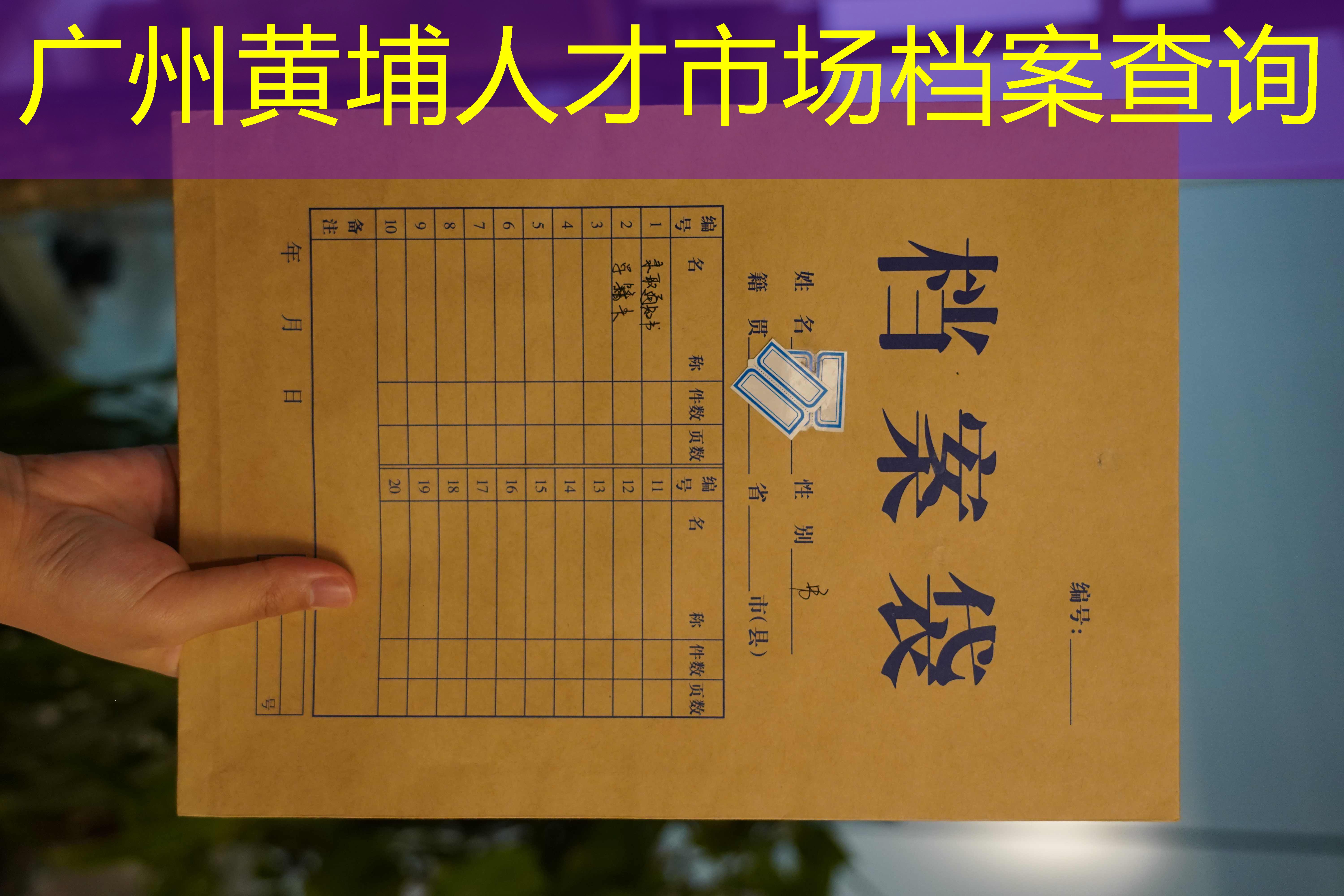 档案查询