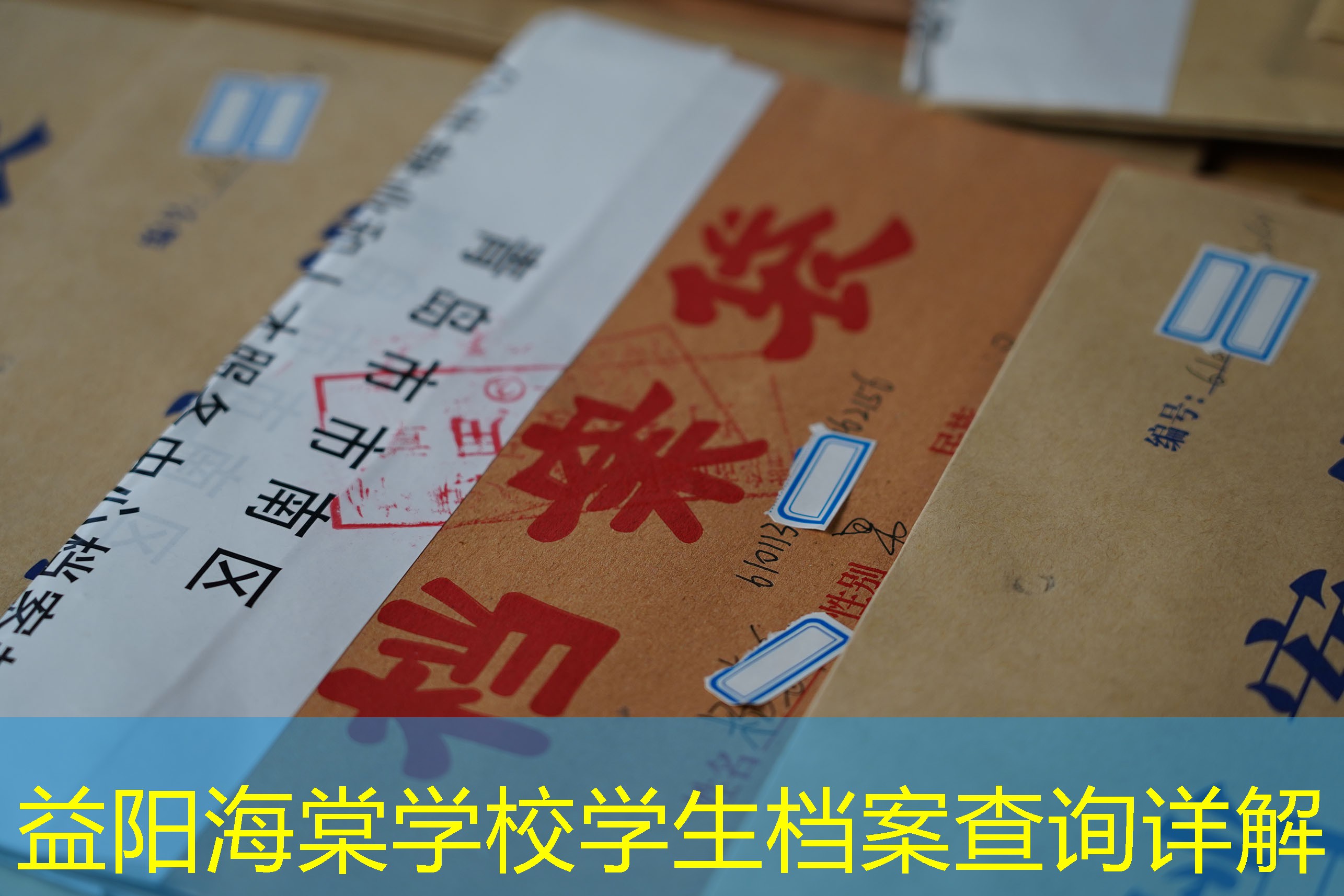 档案查询
