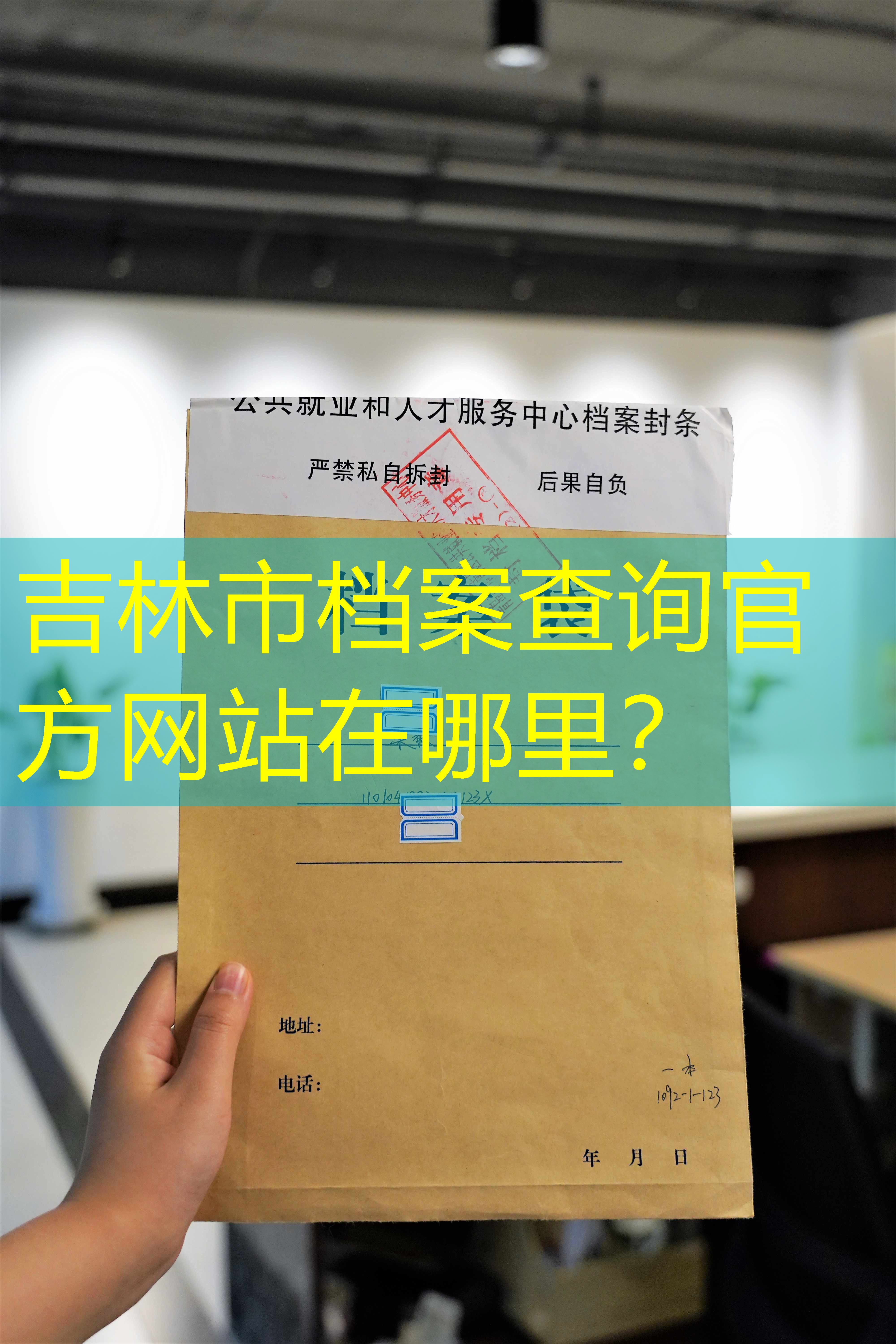 档案查询