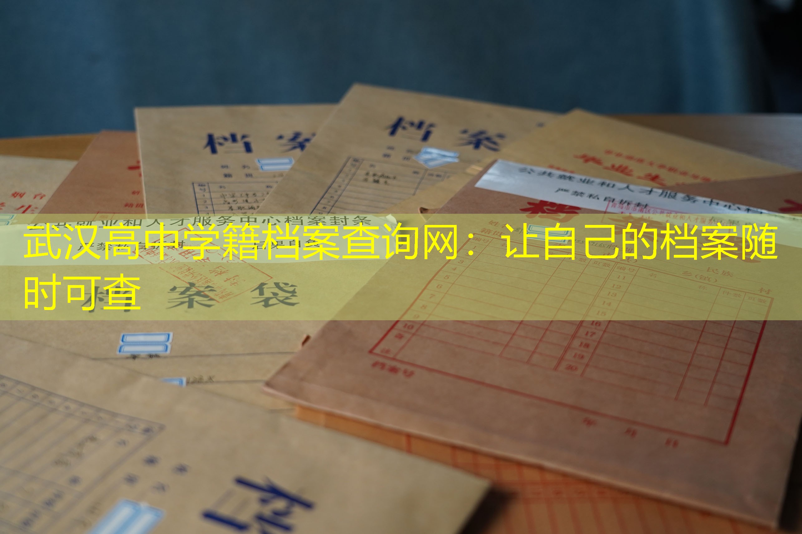档案查询