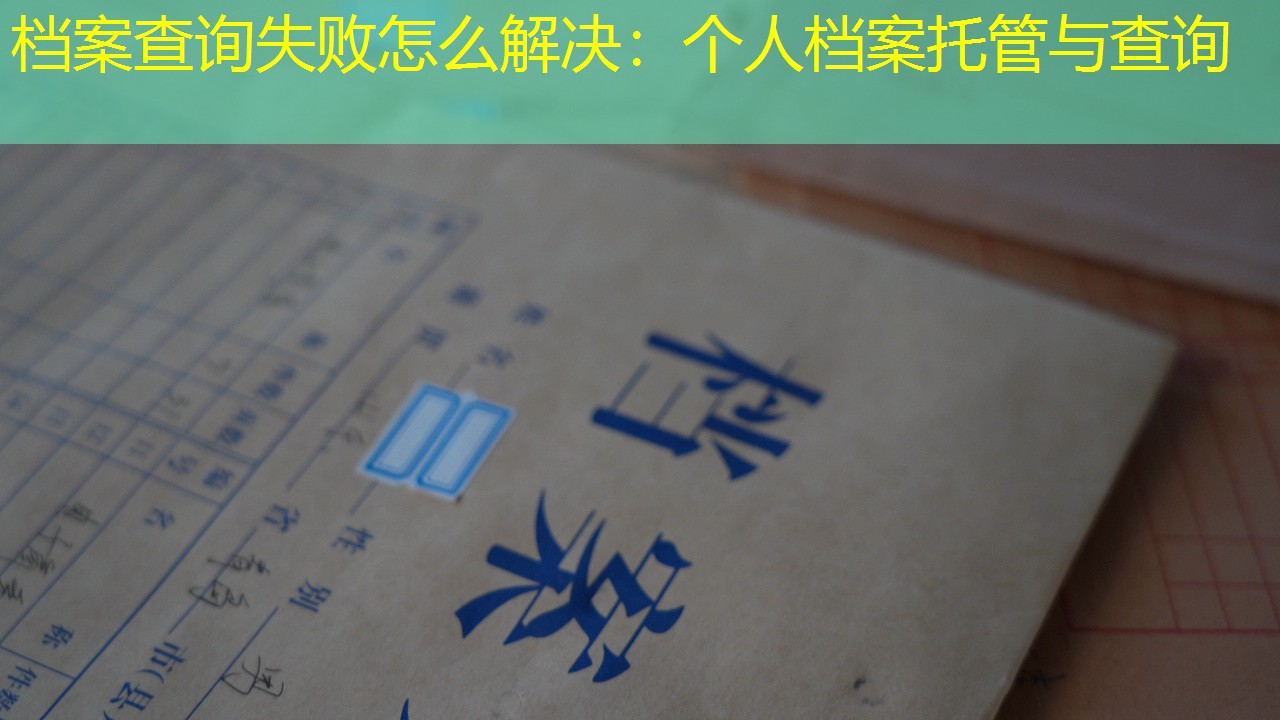 档案查询