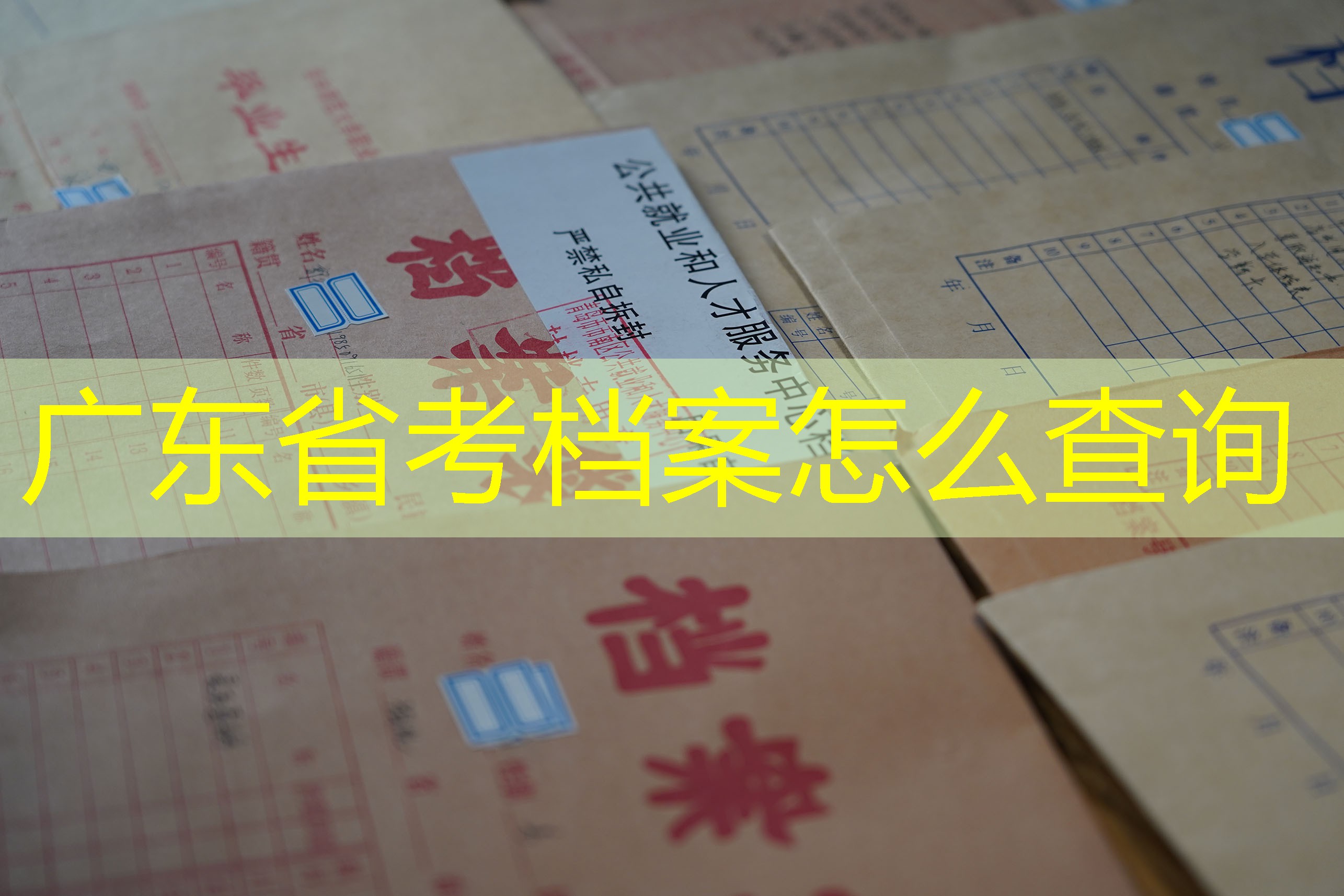 档案查询
