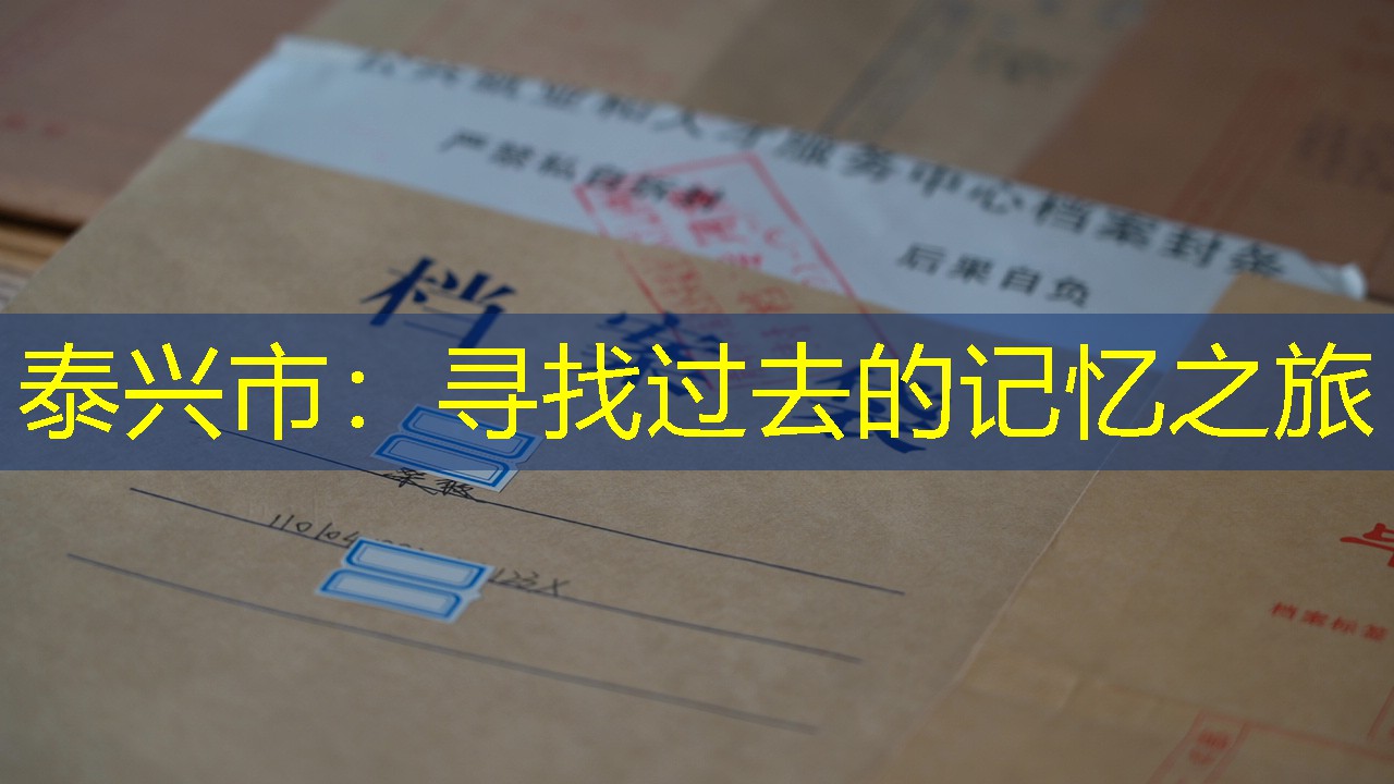 档案查询