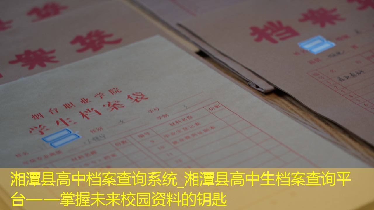 档案查询
