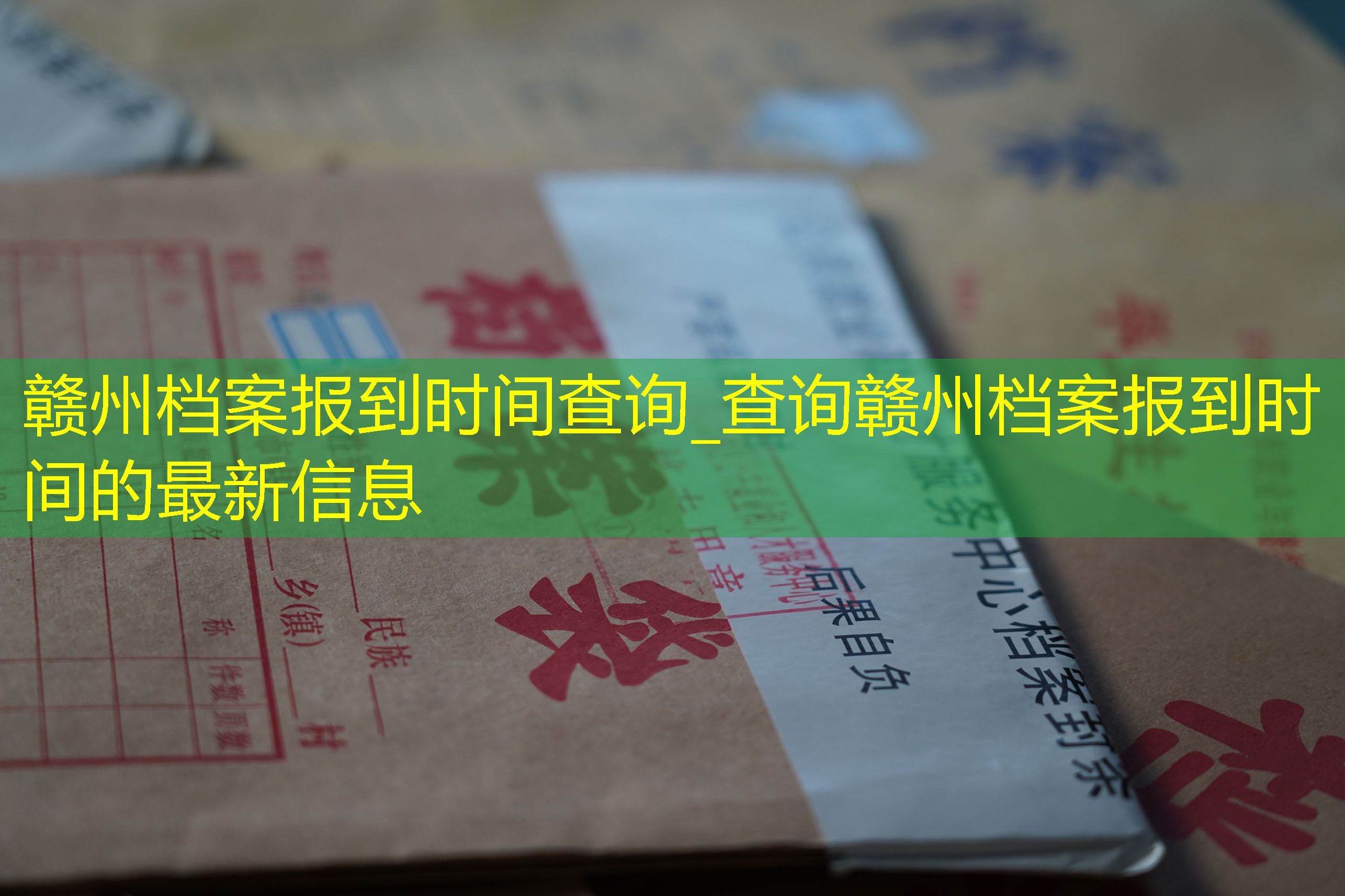 档案查询