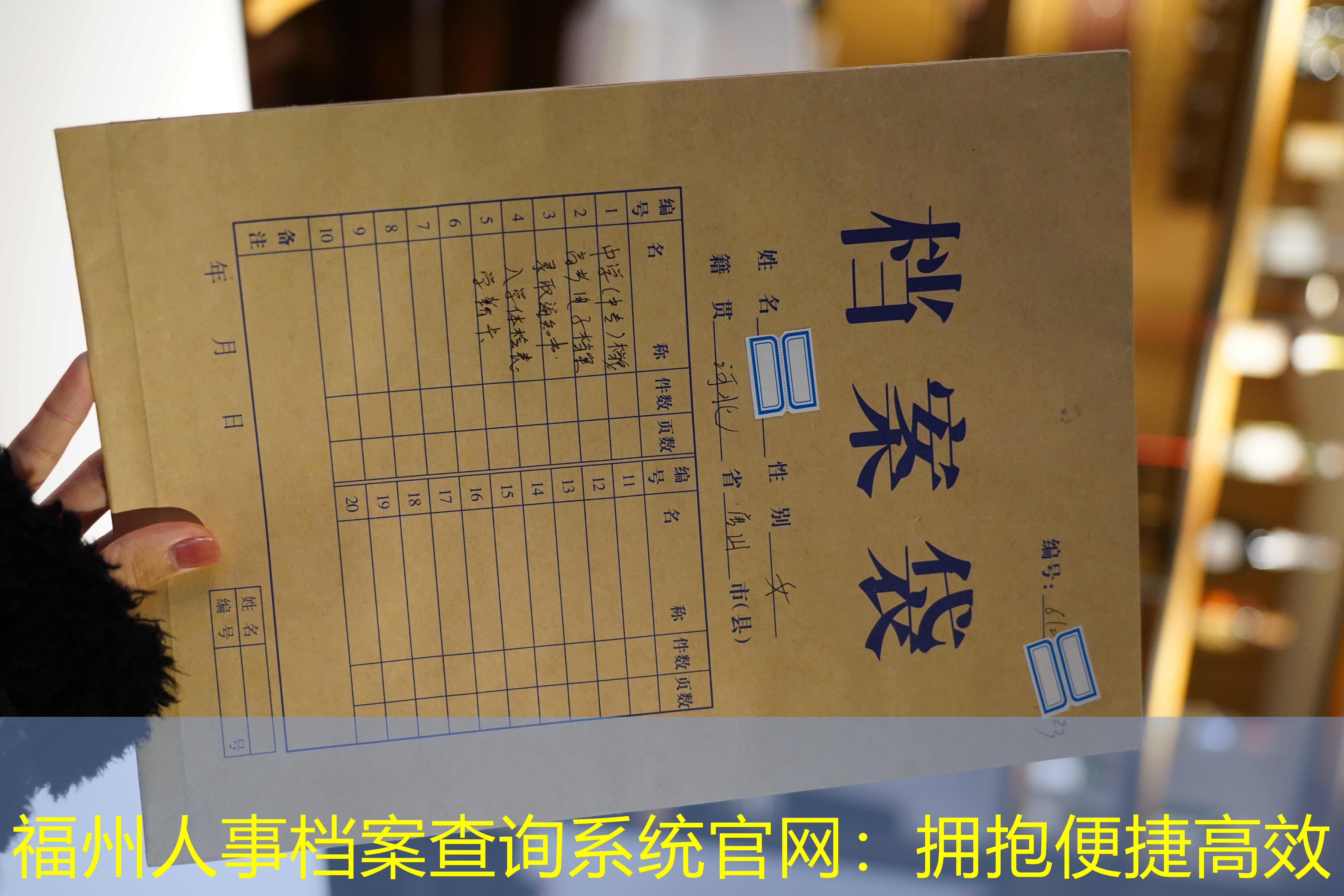 档案查询
