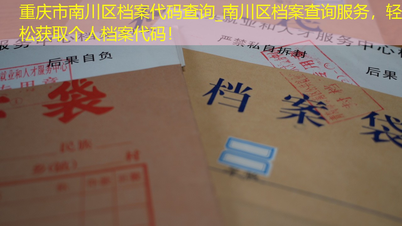 档案查询
