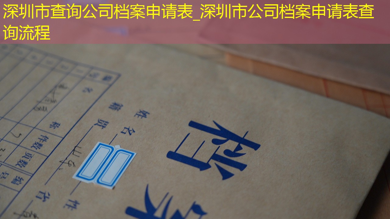 档案查询