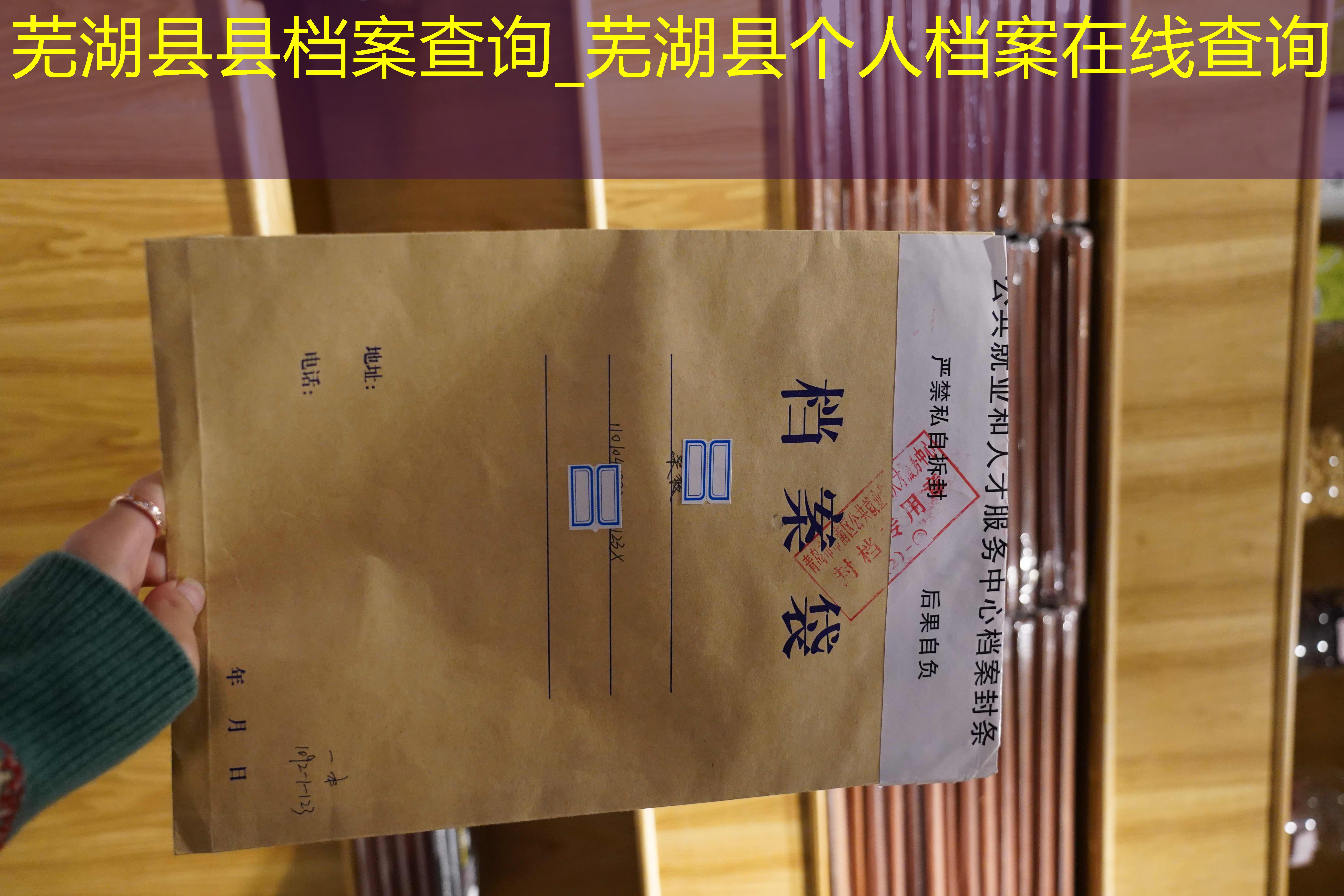 档案查询
