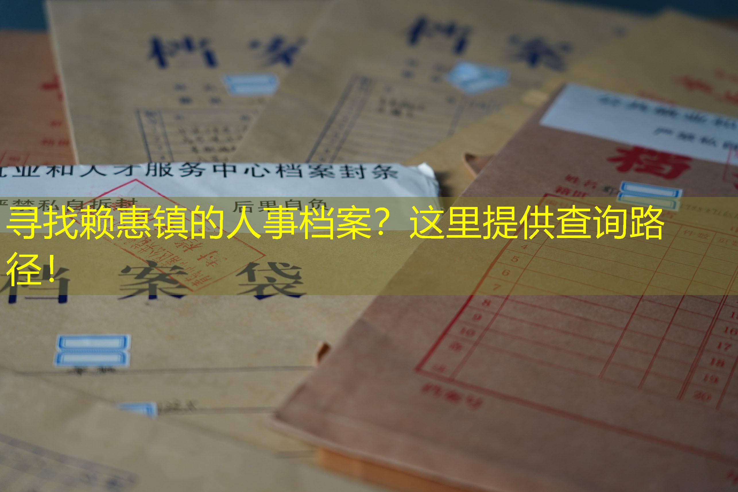 档案查询