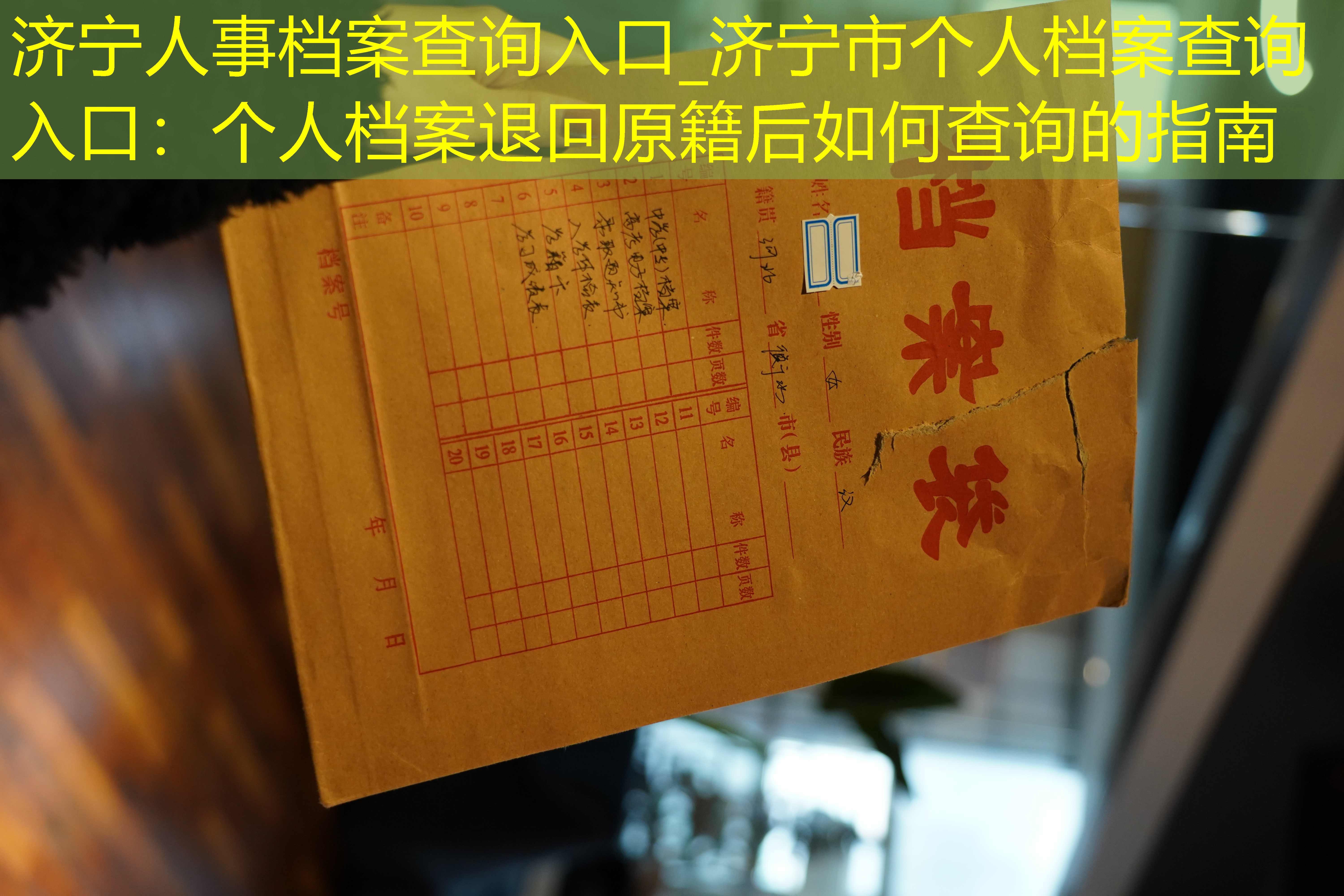 档案查询