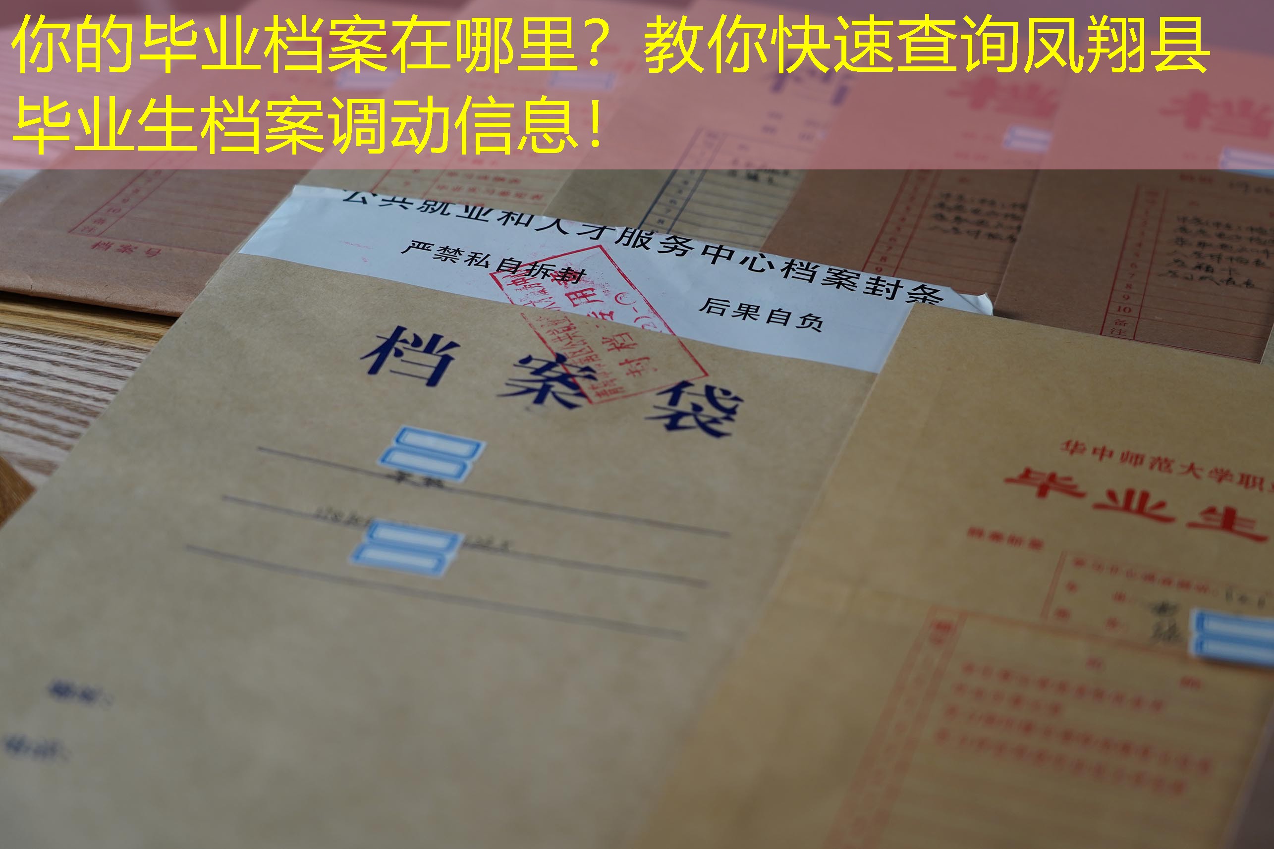 档案查询