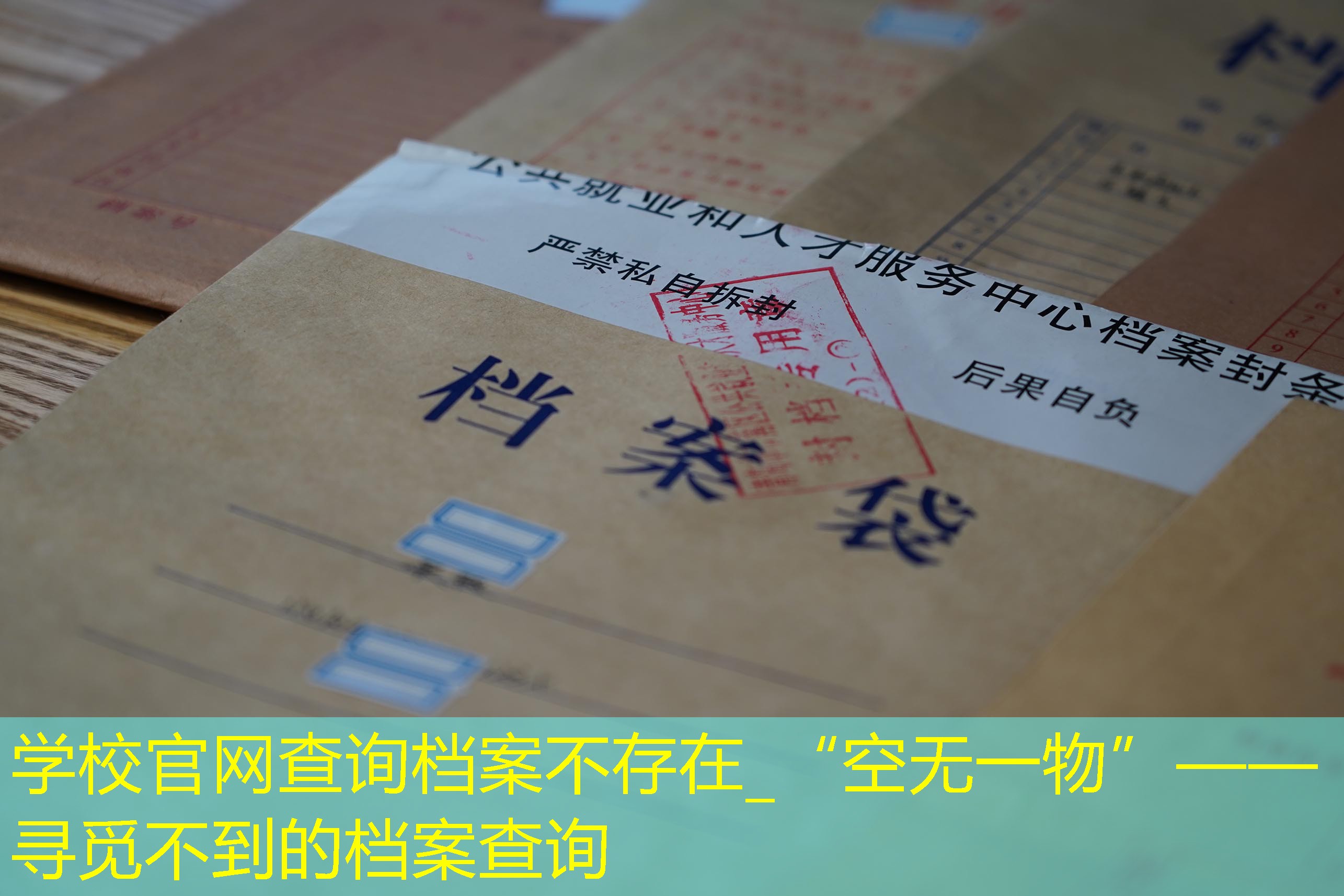 档案查询