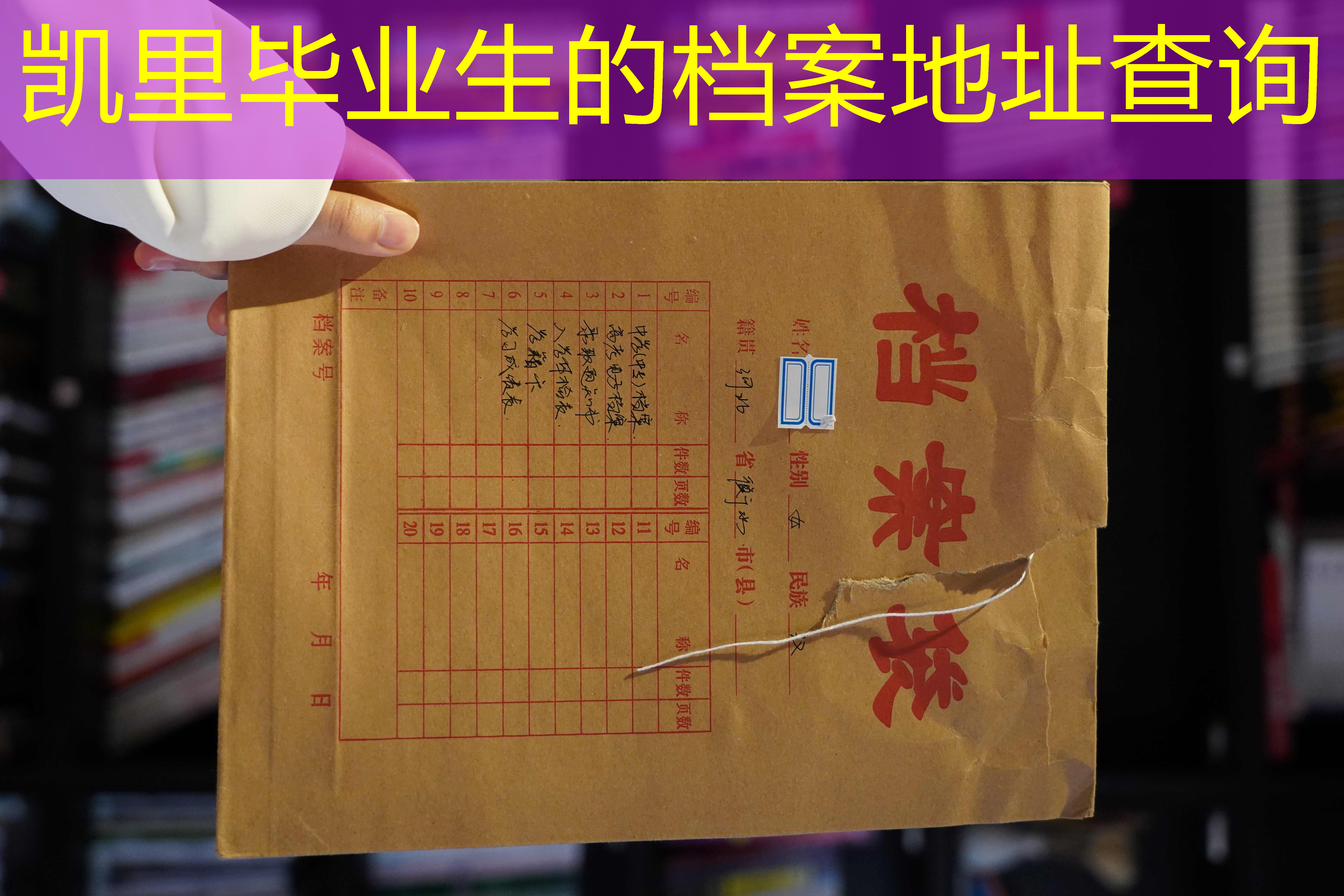 档案查询