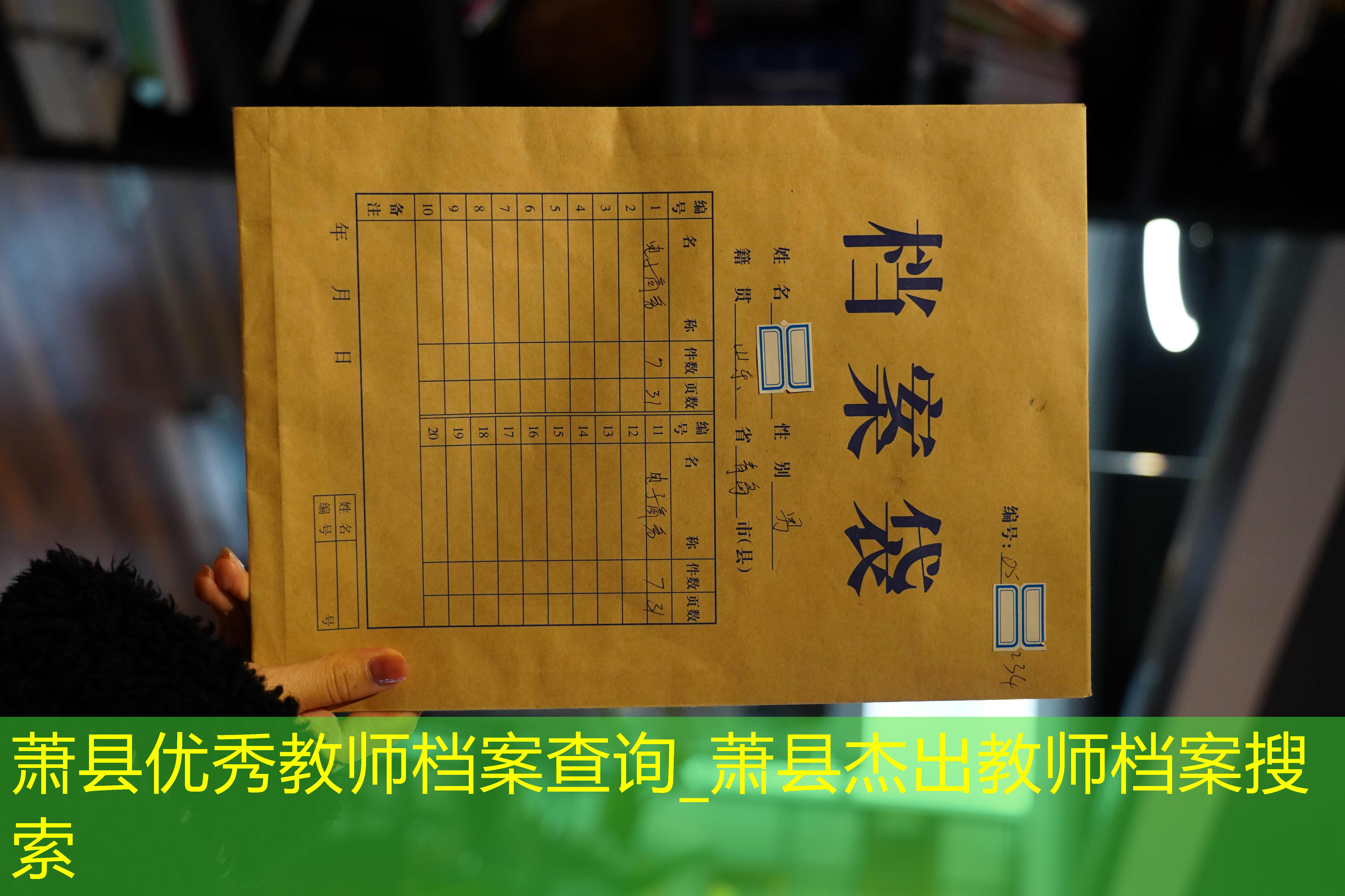 档案查询