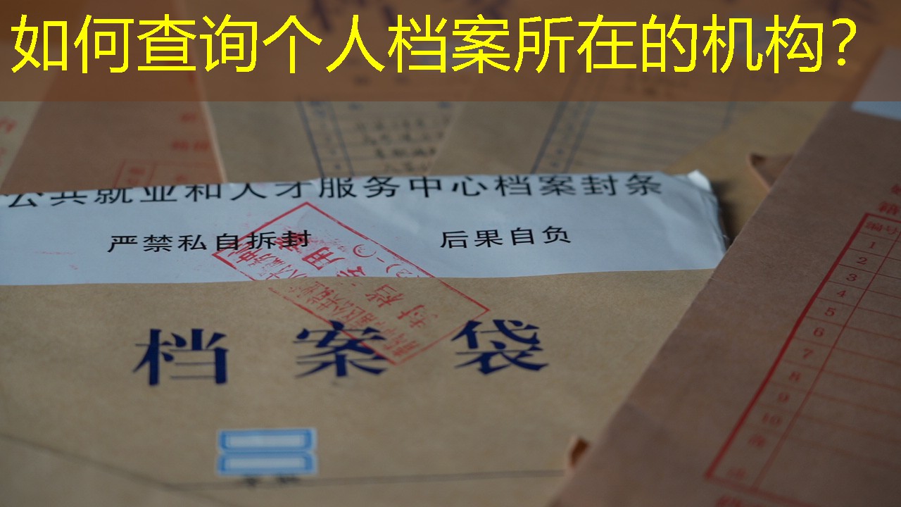 档案查询