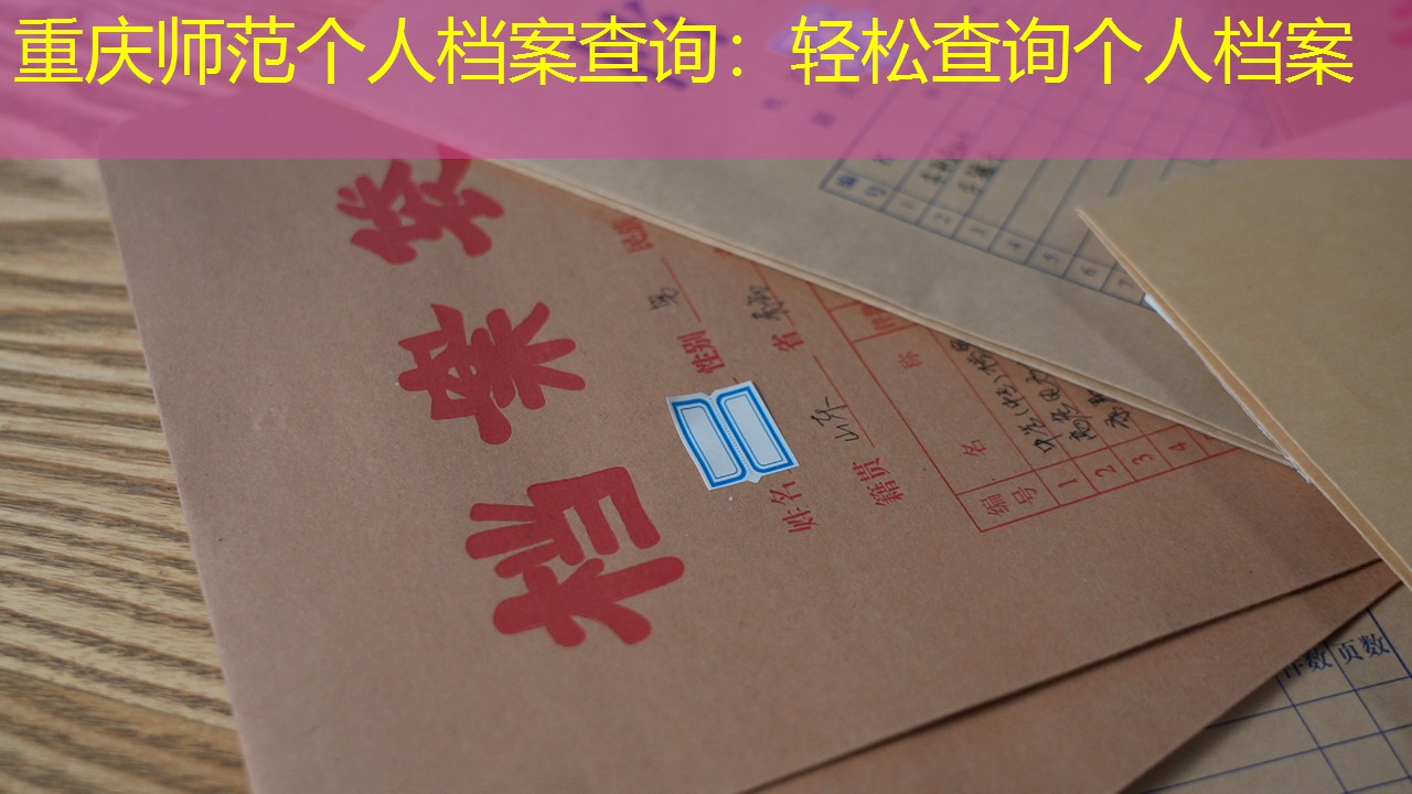 档案查询
