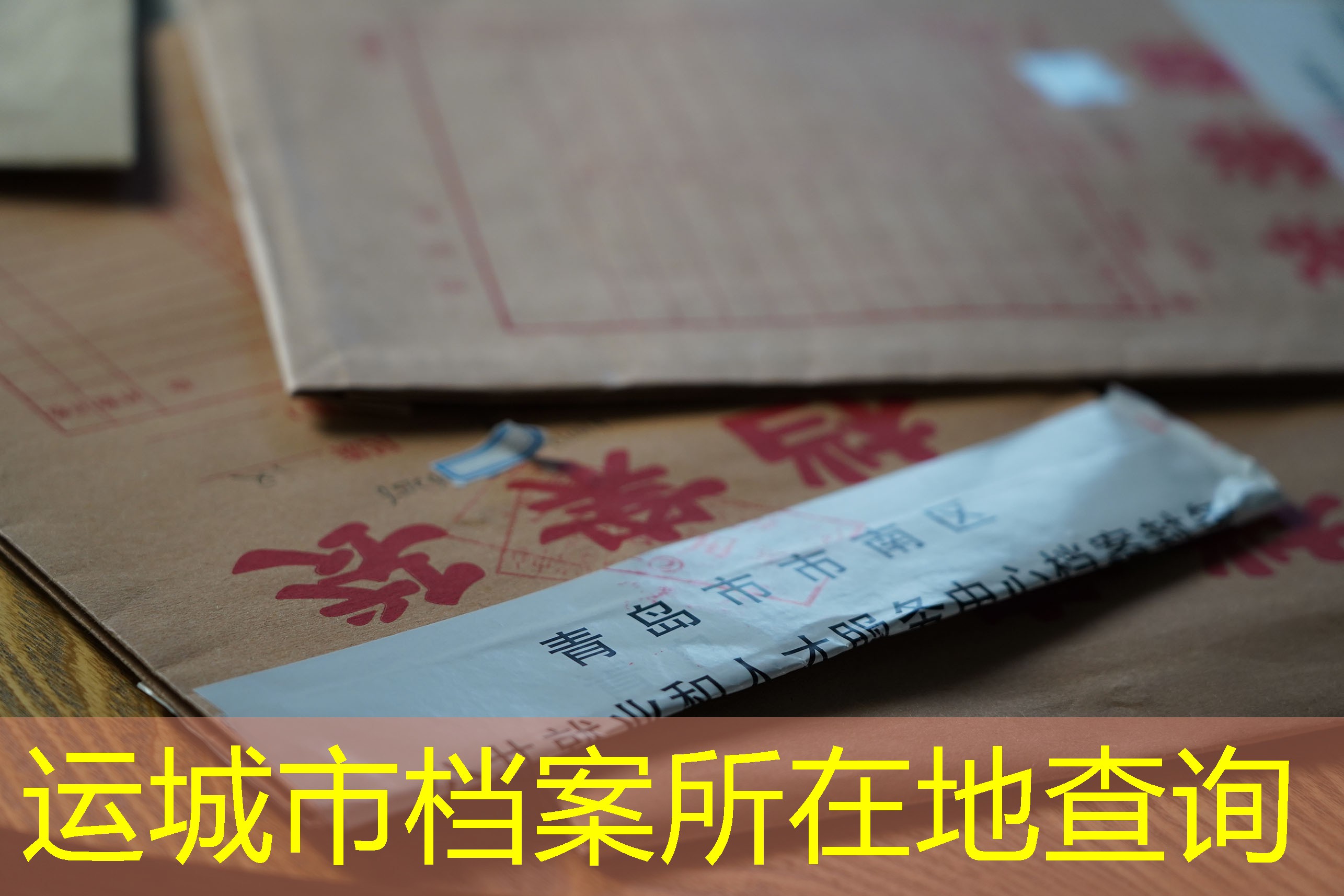 档案查询