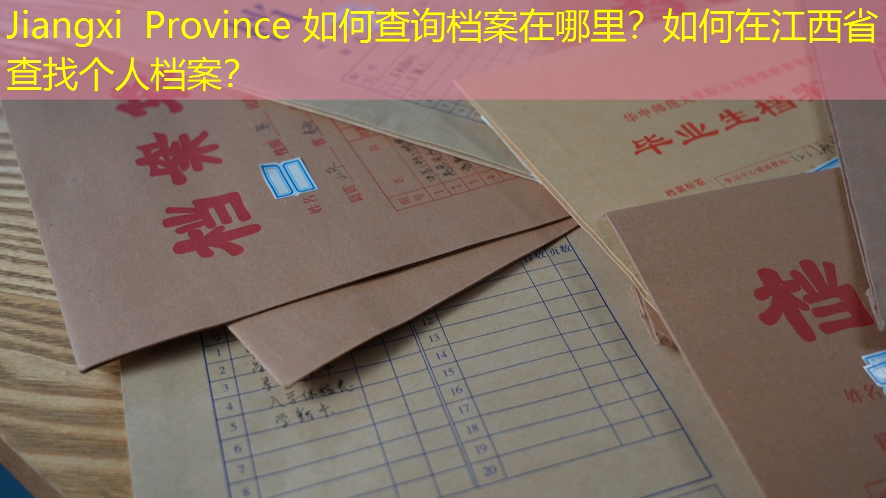 档案查询