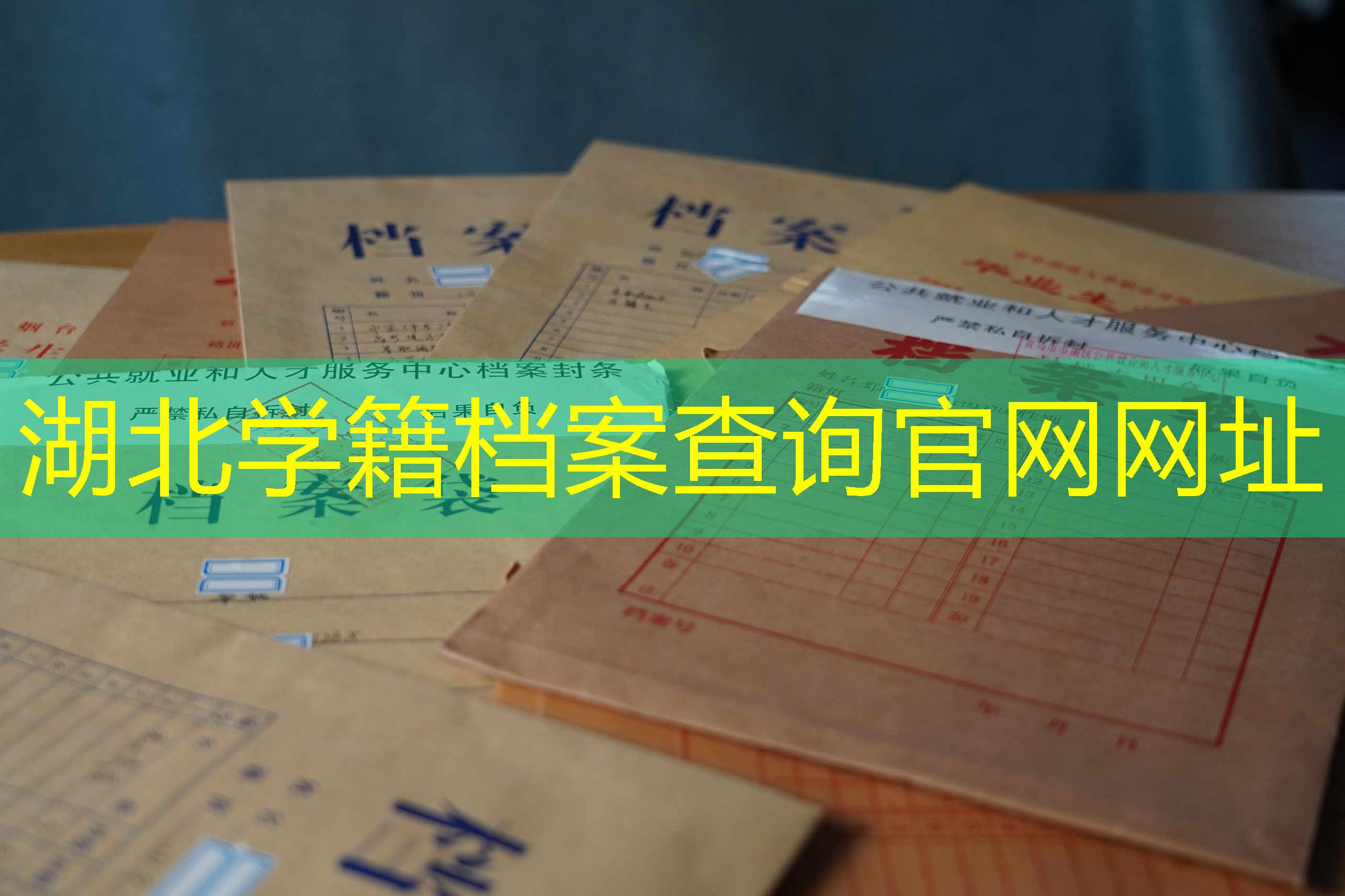 档案查询
