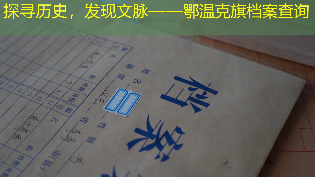 档案查询