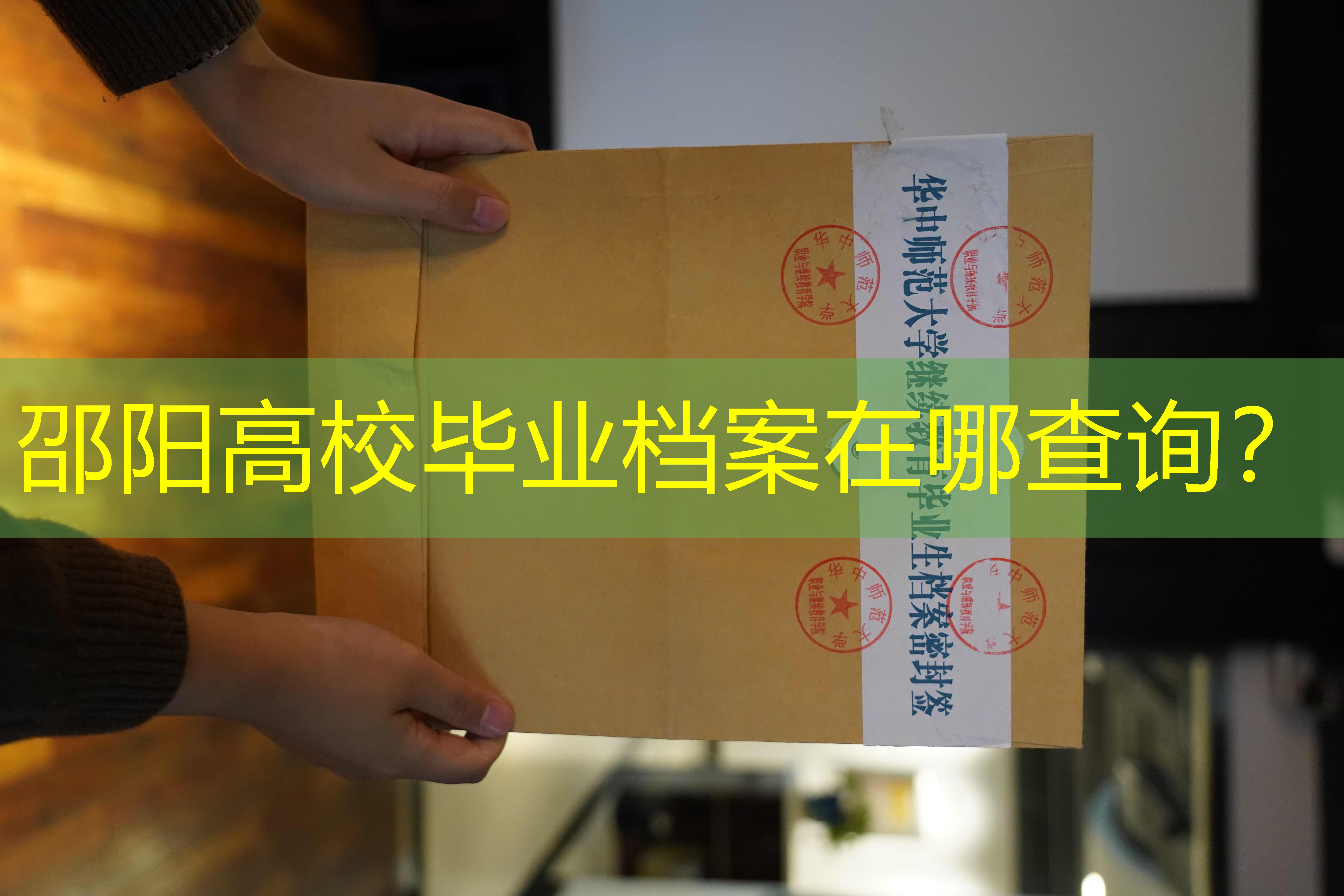档案查询