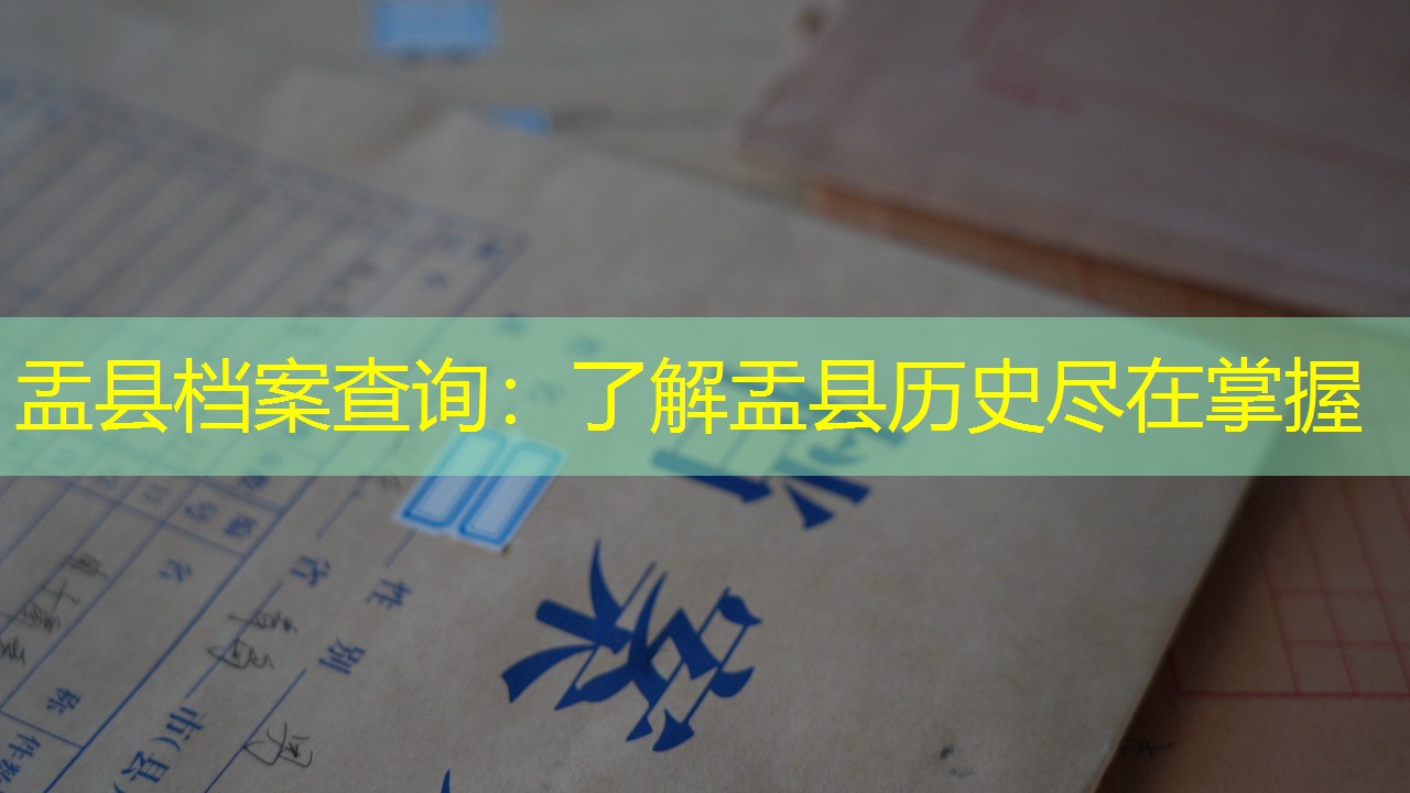 档案查询